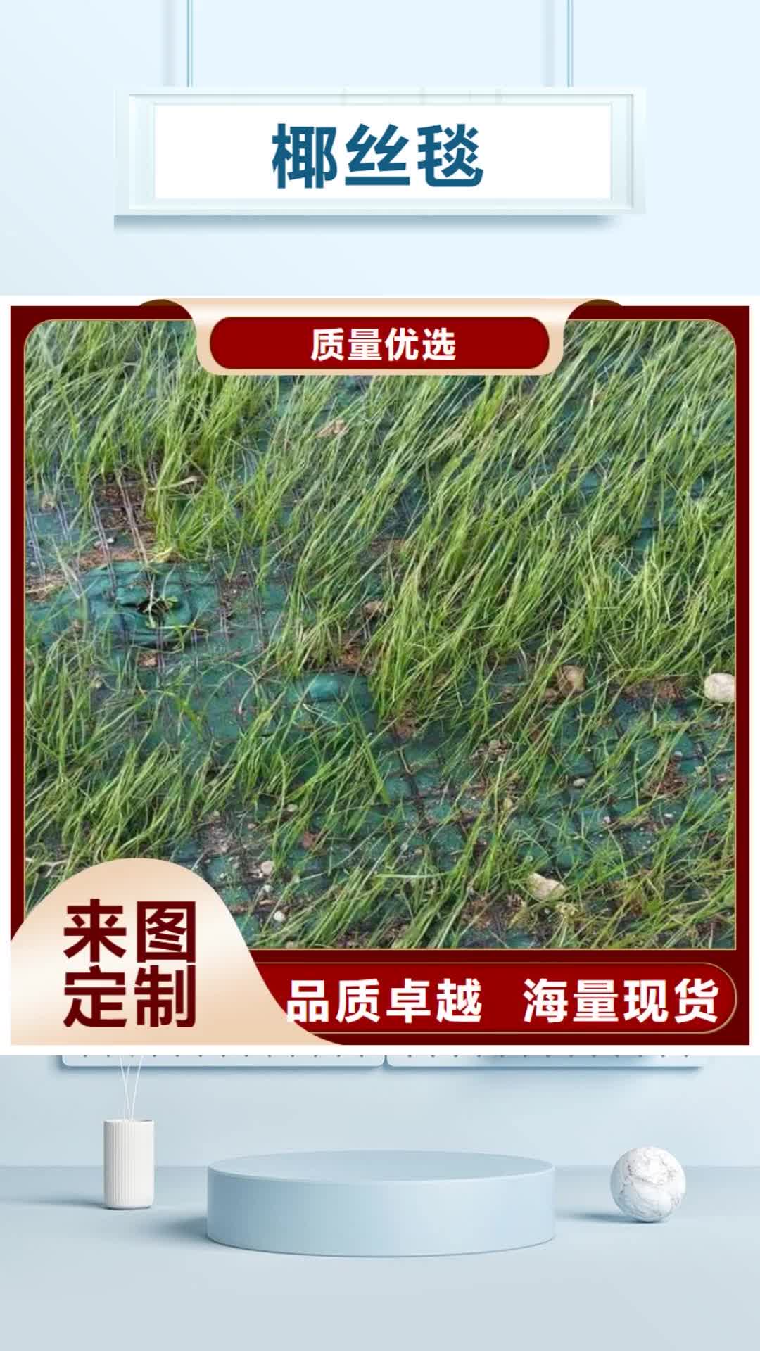 绵阳【椰丝毯】 土工膜严谨工艺