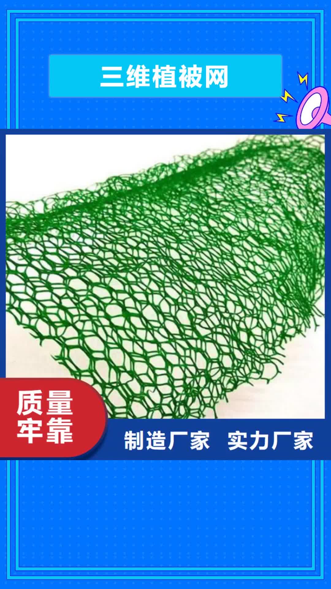 【宿州 三维植被网-膨润土防水毯品质好才是硬道理】