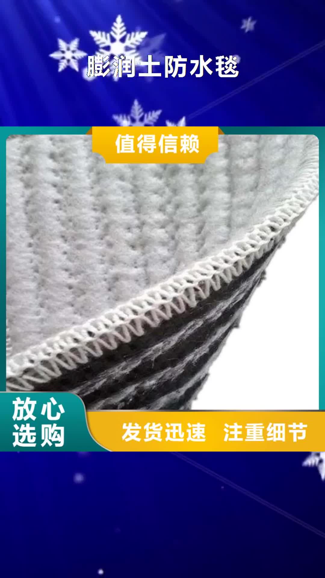 泰州 膨润土防水毯_【防渗膜】工厂采购