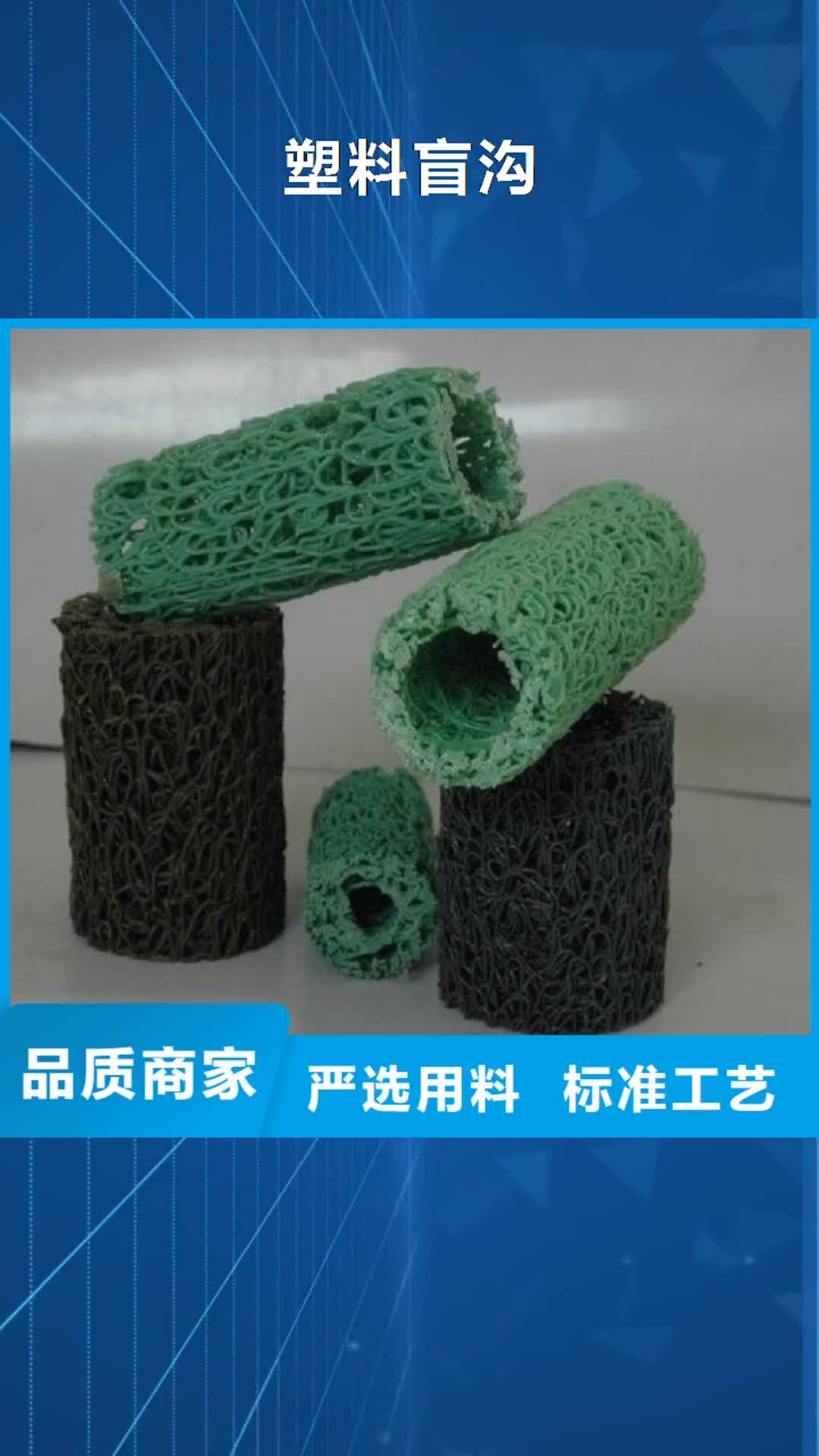 【定西 塑料盲沟-HDPE土工膜专注质量】