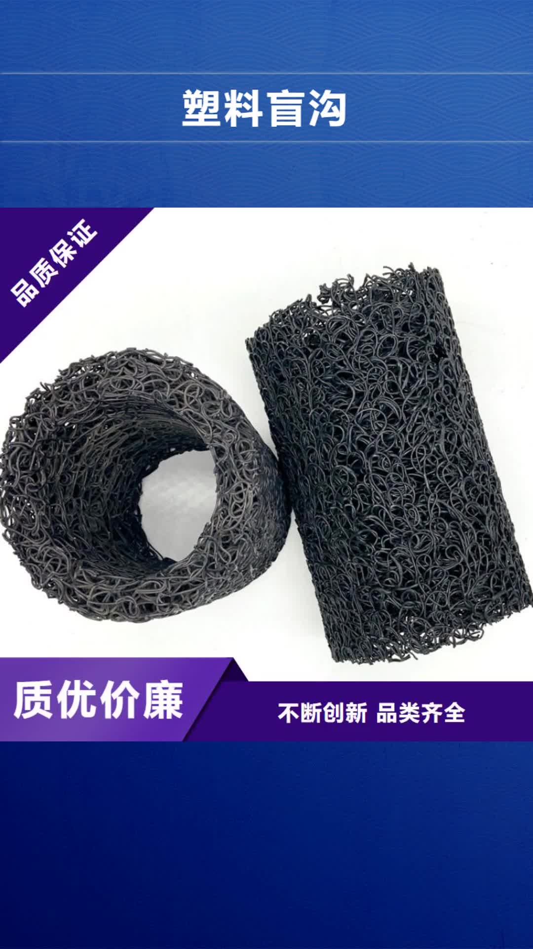 庆阳【塑料盲沟】 三维植被网严选用料