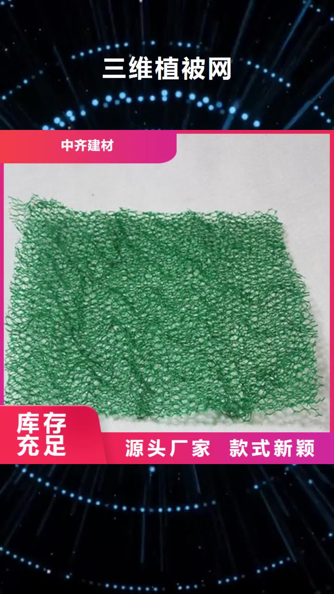 安徽 三维植被网,【土工膜】用心做品质