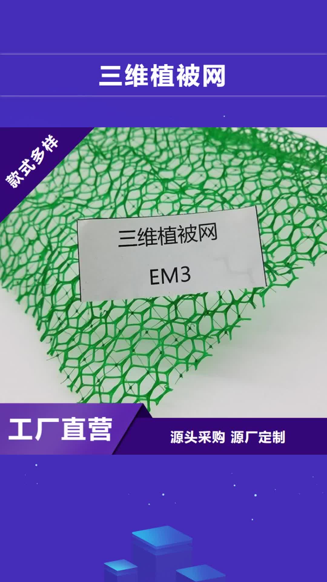 【抚顺 三维植被网_通风降噪丝网大库存无缺货危机】