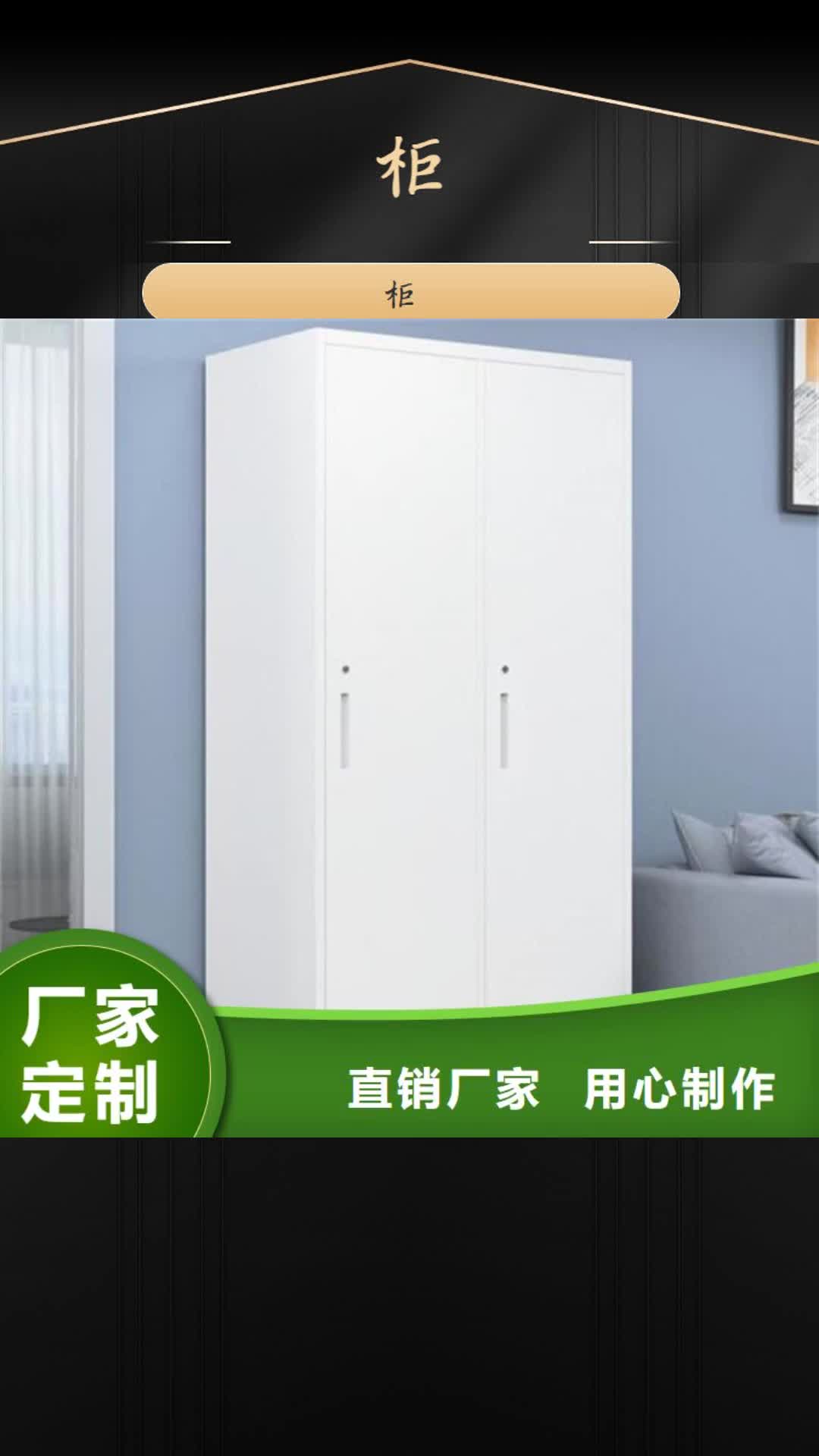 河源 柜,【双节文件柜】真材实料诚信经营