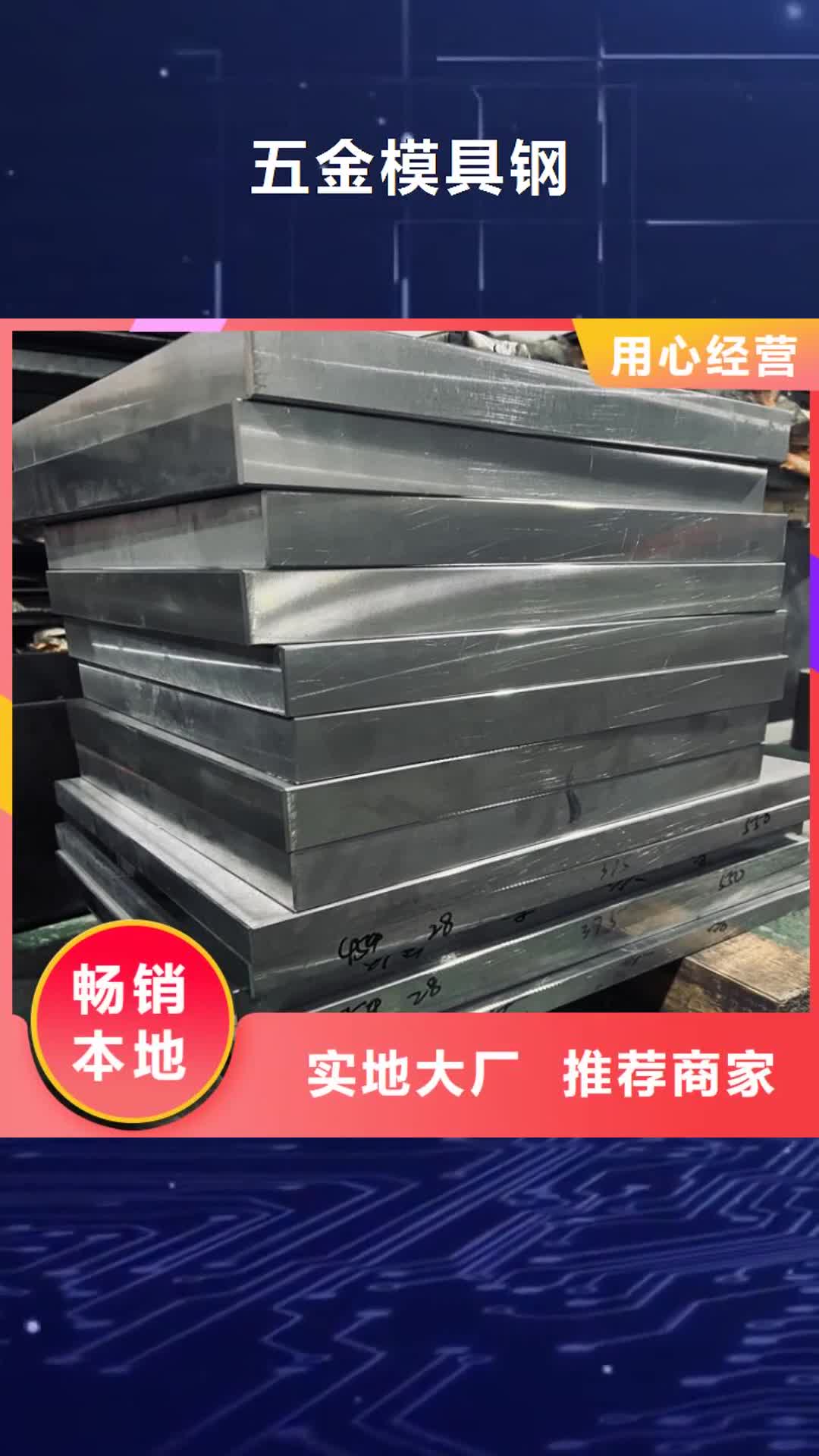 宝鸡 五金模具钢-【模具钢厂家】现货满足大量采购