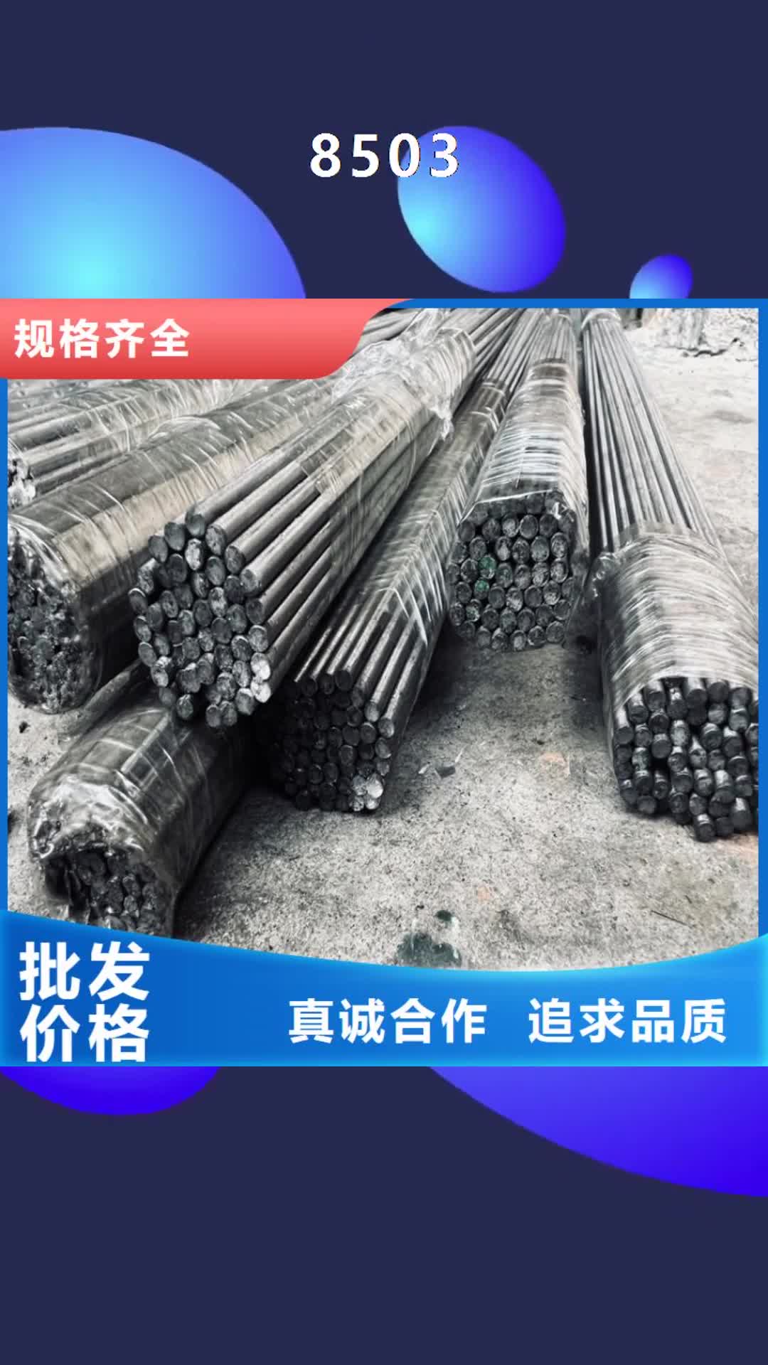 【秦皇岛 8503,模具钢生产厂家生产加工】