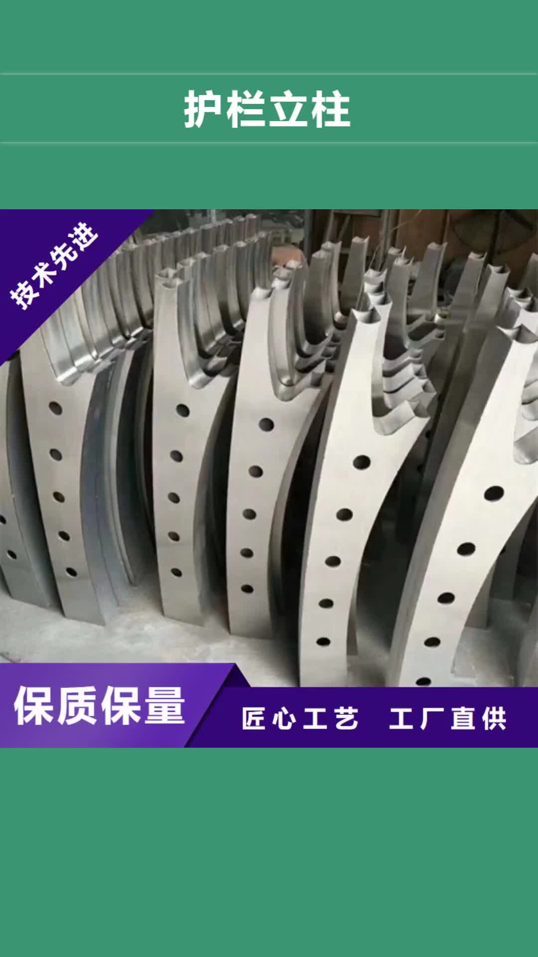 盘锦 护栏立柱_【道路护栏】厂家采购