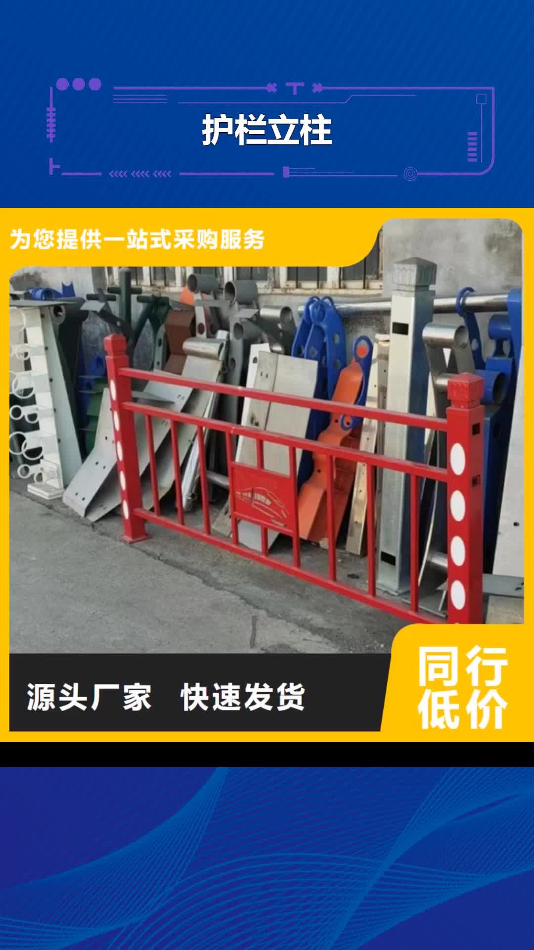 湖南【护栏立柱】-桥梁护栏厂家拒绝伪劣产品
