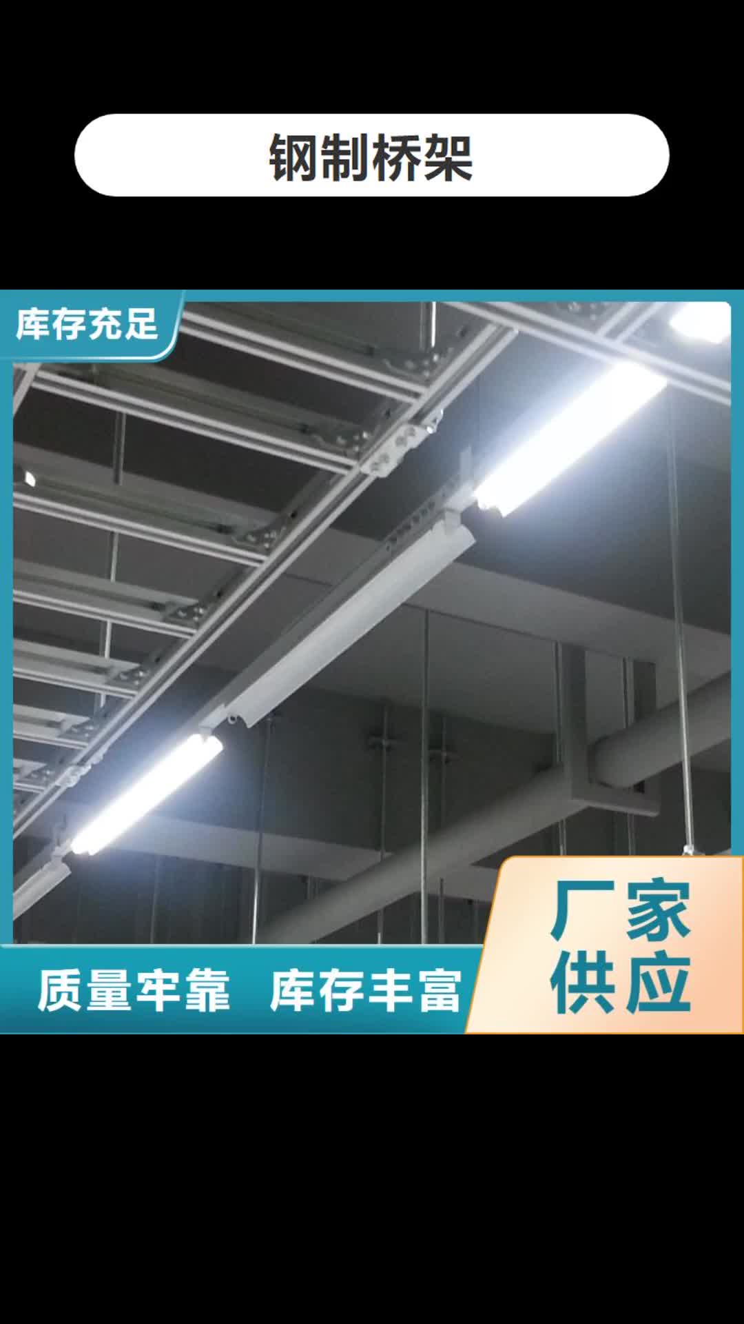 【盐城 钢制桥架_镀锌电缆桥架专业生产厂家】