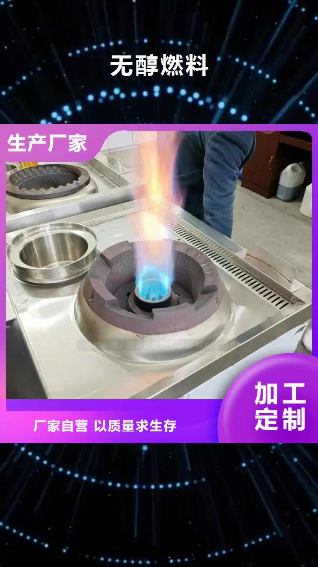 【舟山 无醇燃料-植物油燃料严格把控质量】