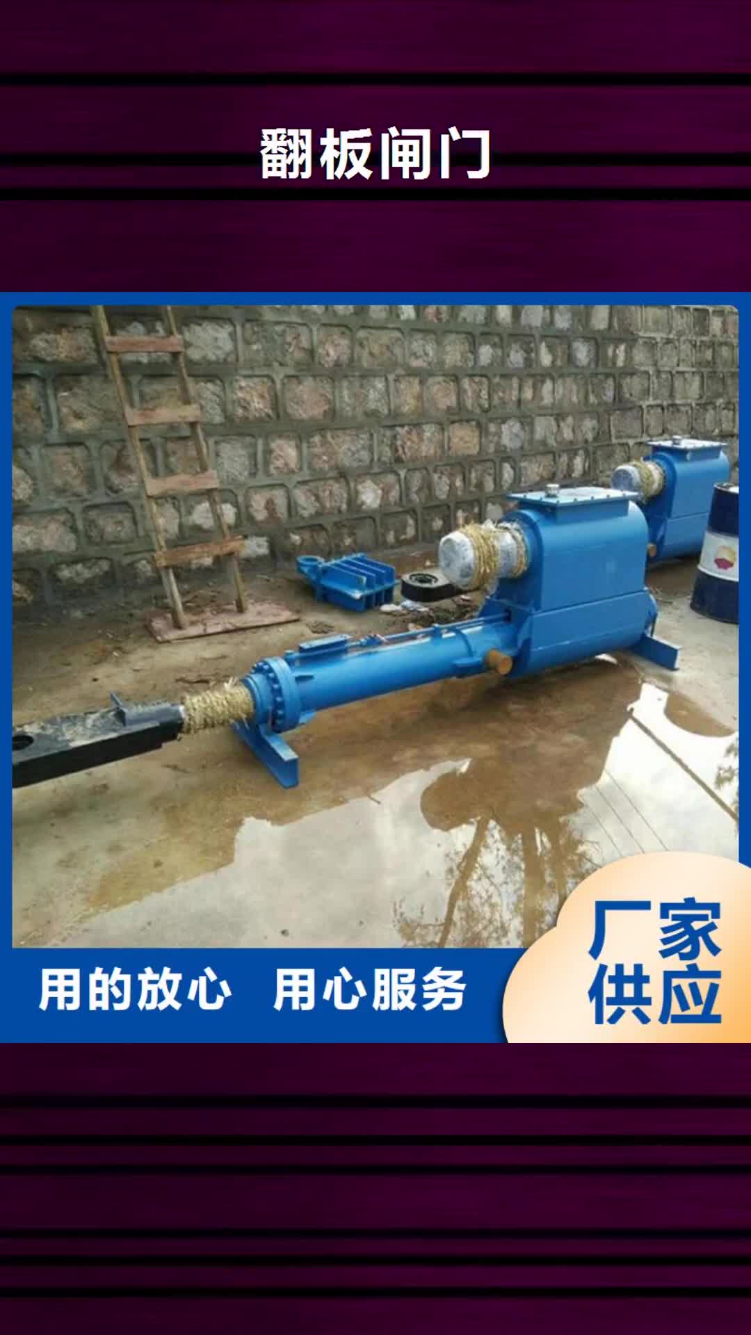 【林芝 翻板闸门 合页钢坝设备齐全支持定制】