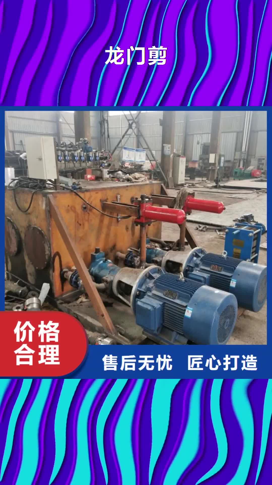 【江苏 龙门剪-铁屑压饼机来图加工定制】