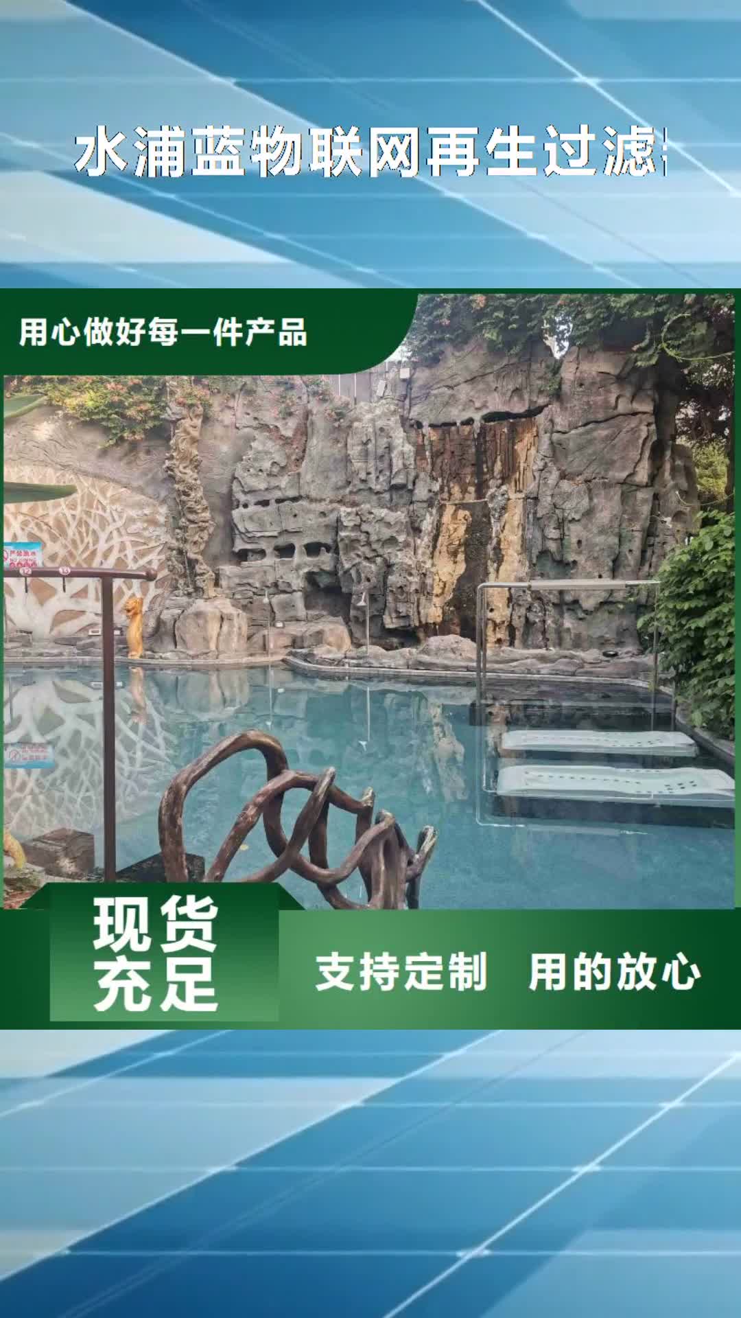 运城 水浦蓝物联网再生过滤器【民宿私家别墅泳池设备】源头厂家经验丰富