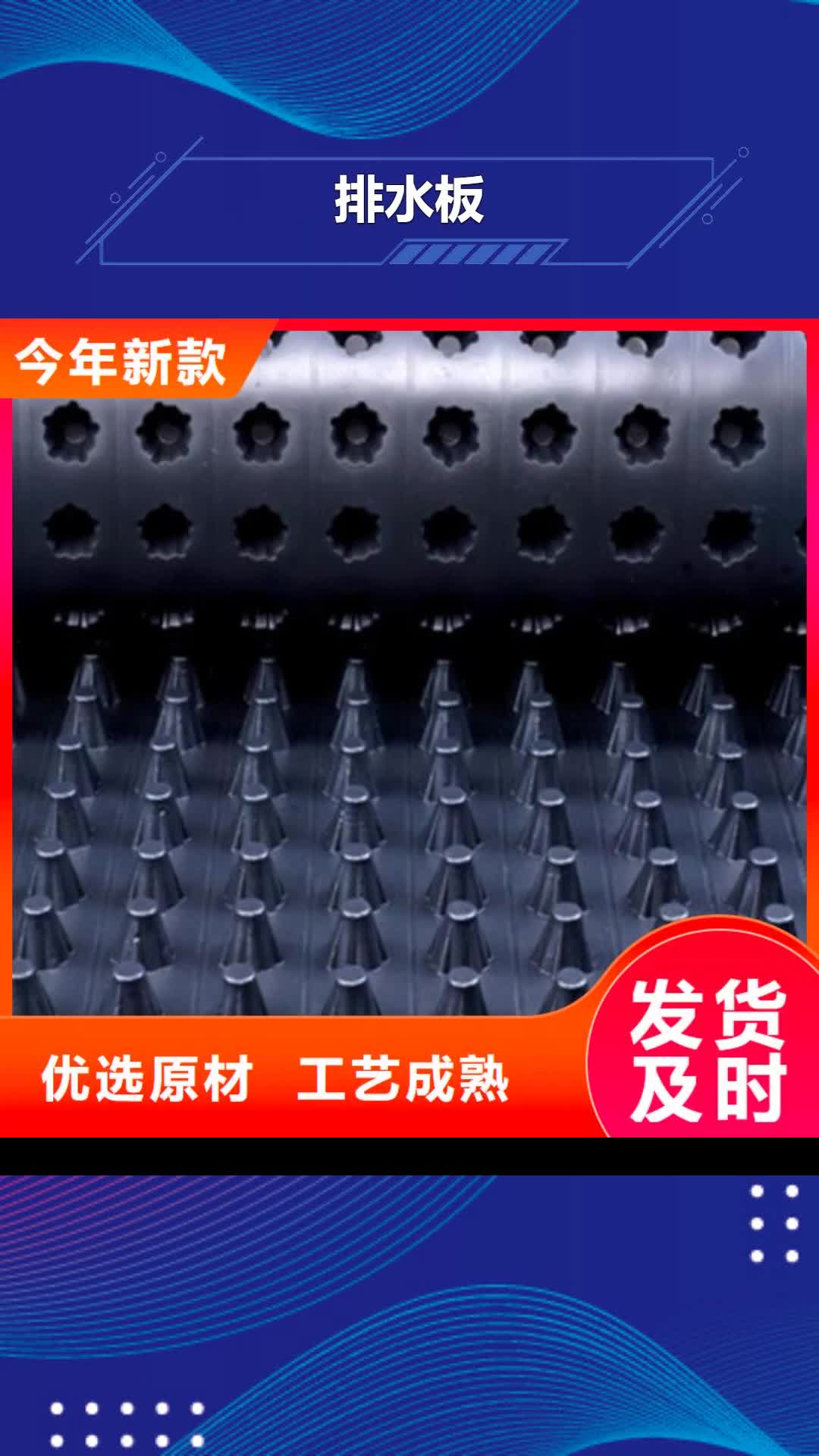 商丘 排水板 【 植草格】实力大厂家