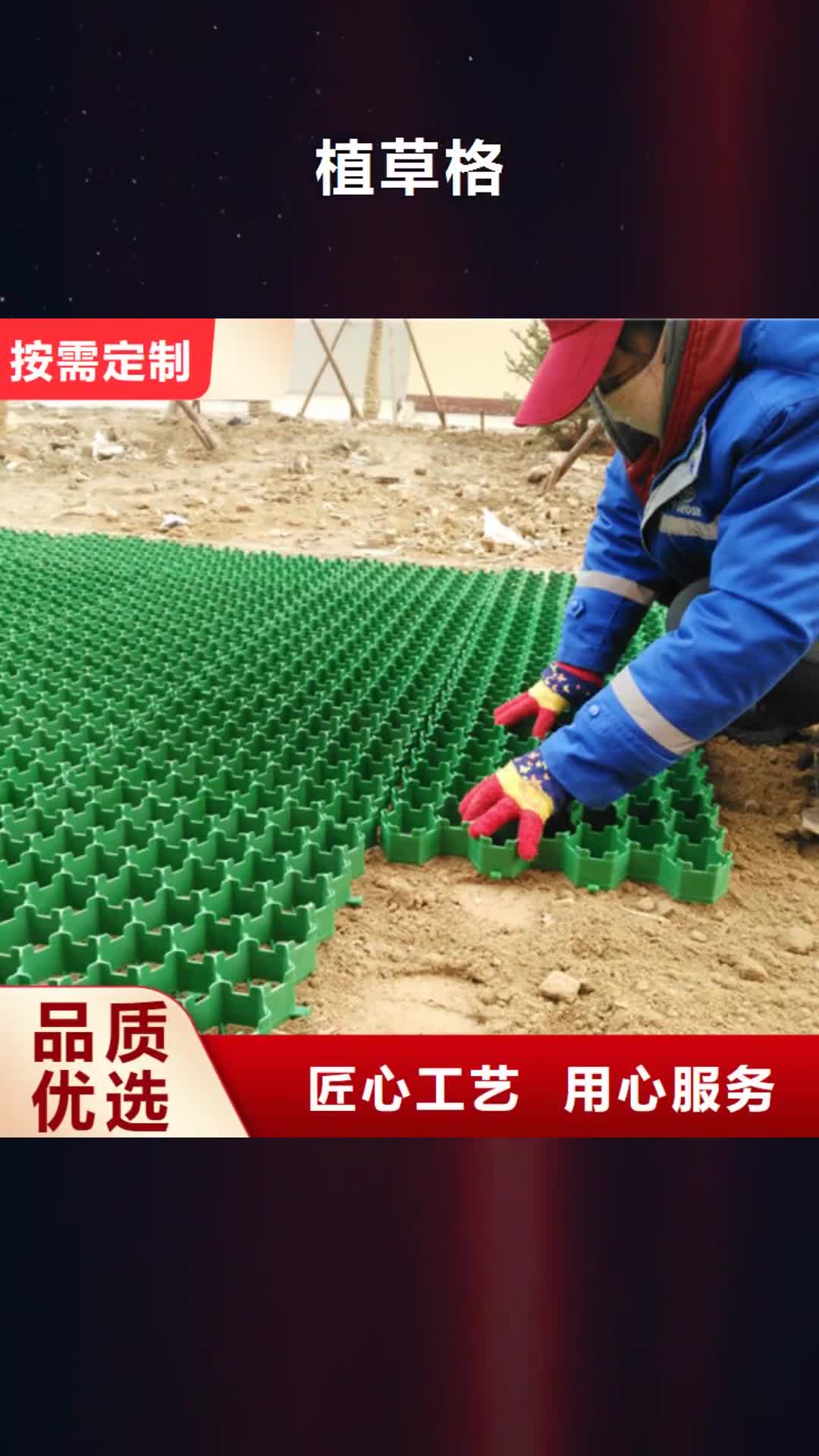 通化 植草格合作共赢
