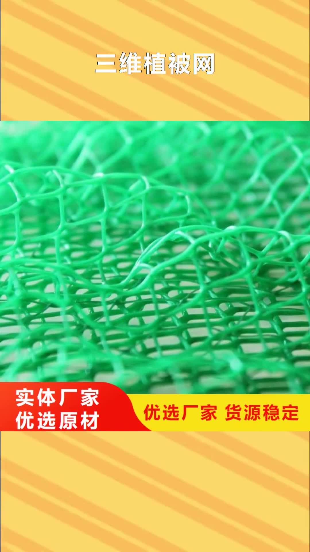 大连 三维植被网,【车库虹吸排水系统 】今日新品
