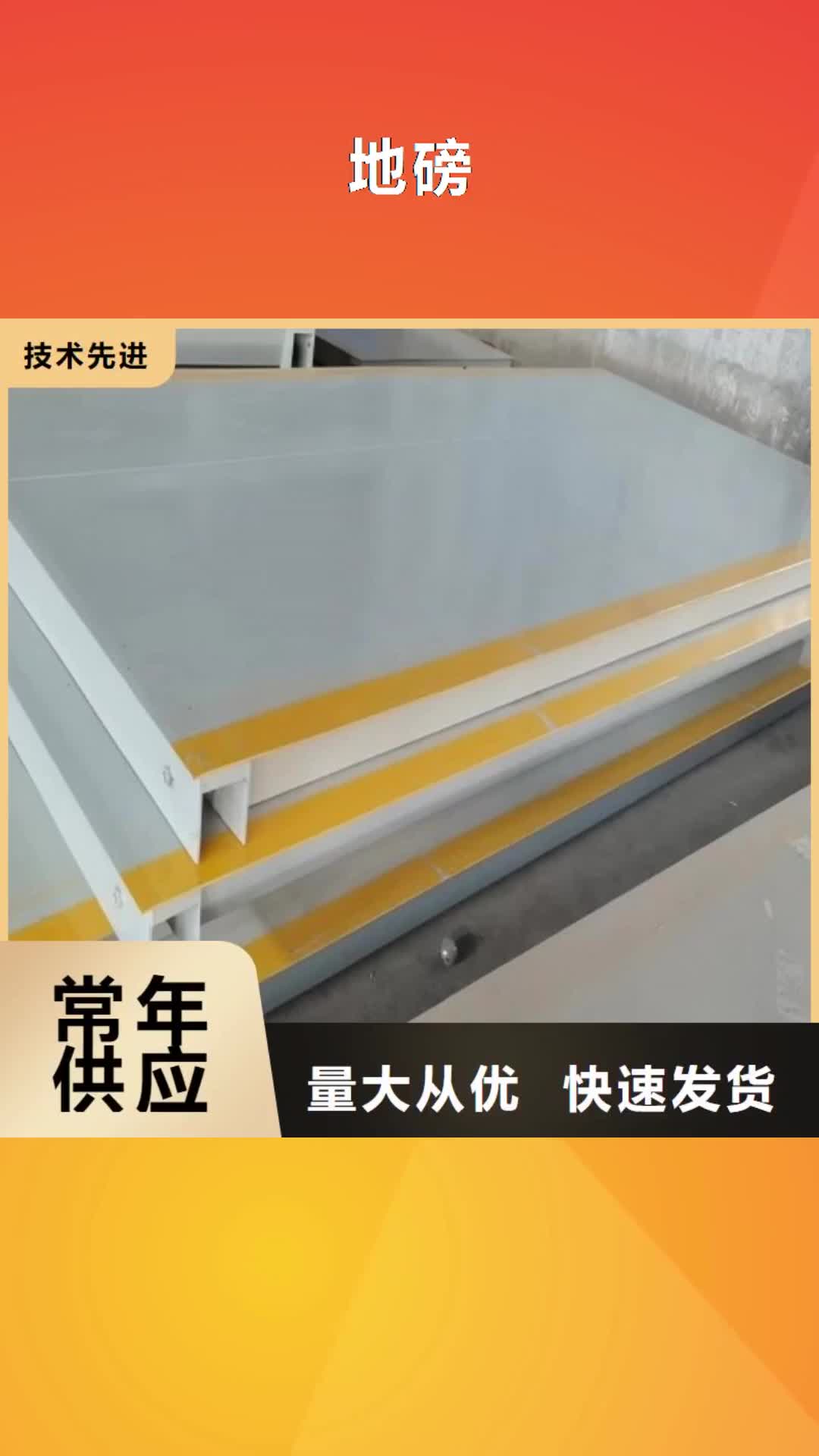 江门 地磅为品质而生产