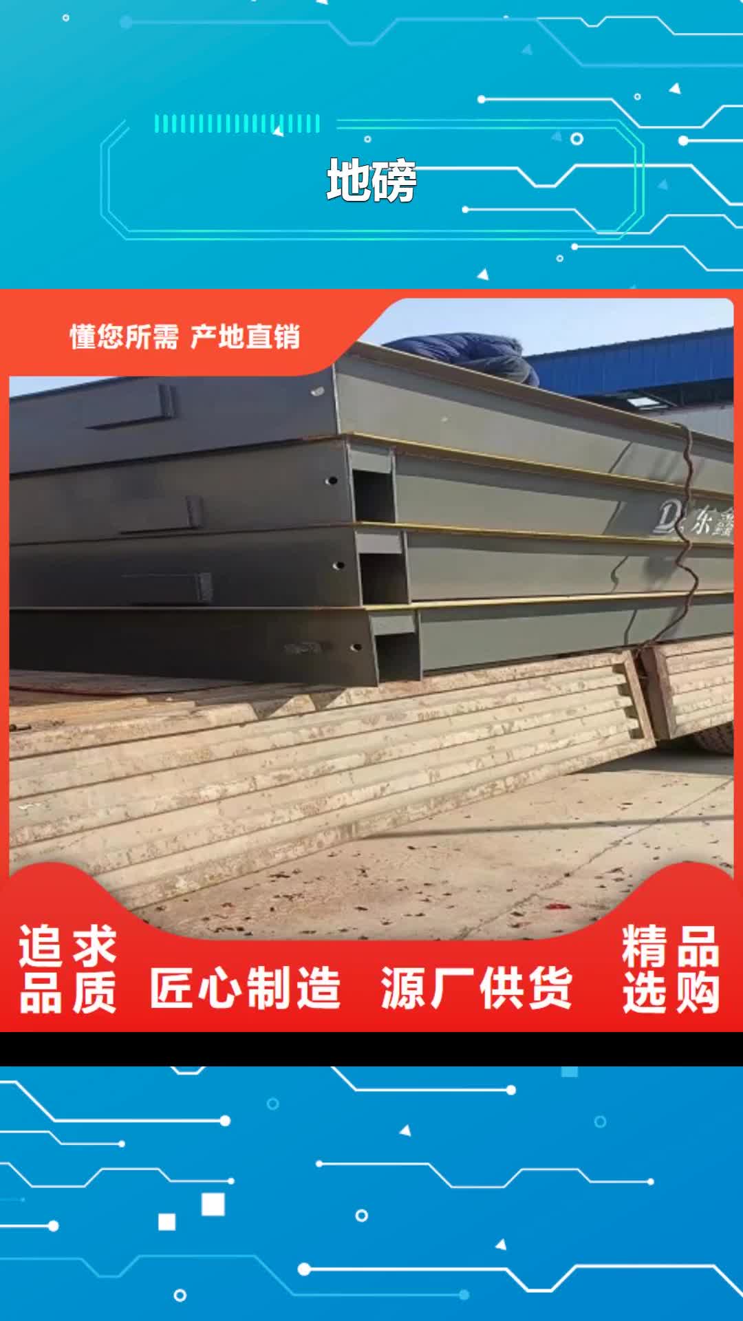 【新余 地磅-电子地磅品质保证】