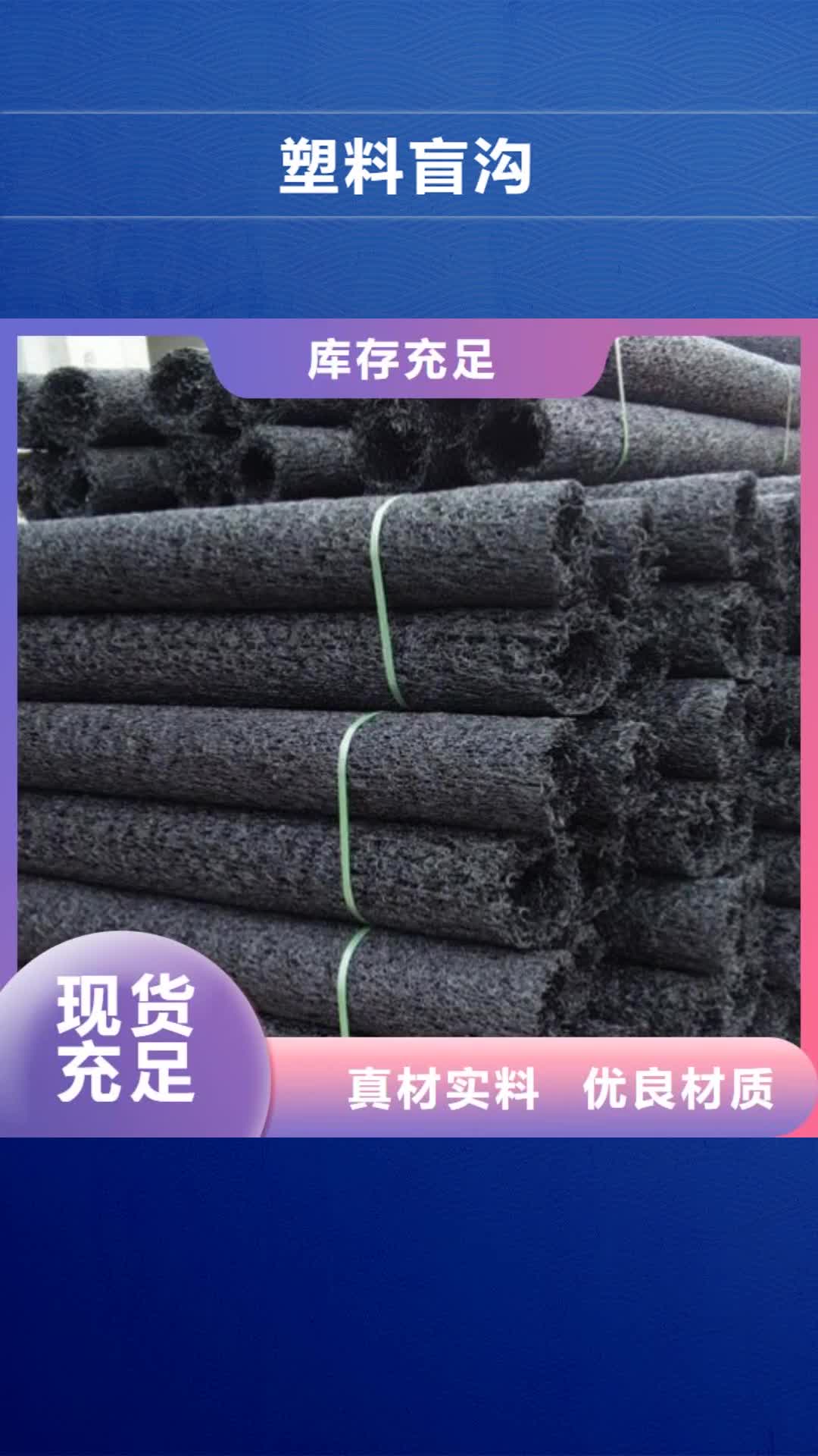 大兴安岭 塑料盲沟-【疏水板】诚信厂家