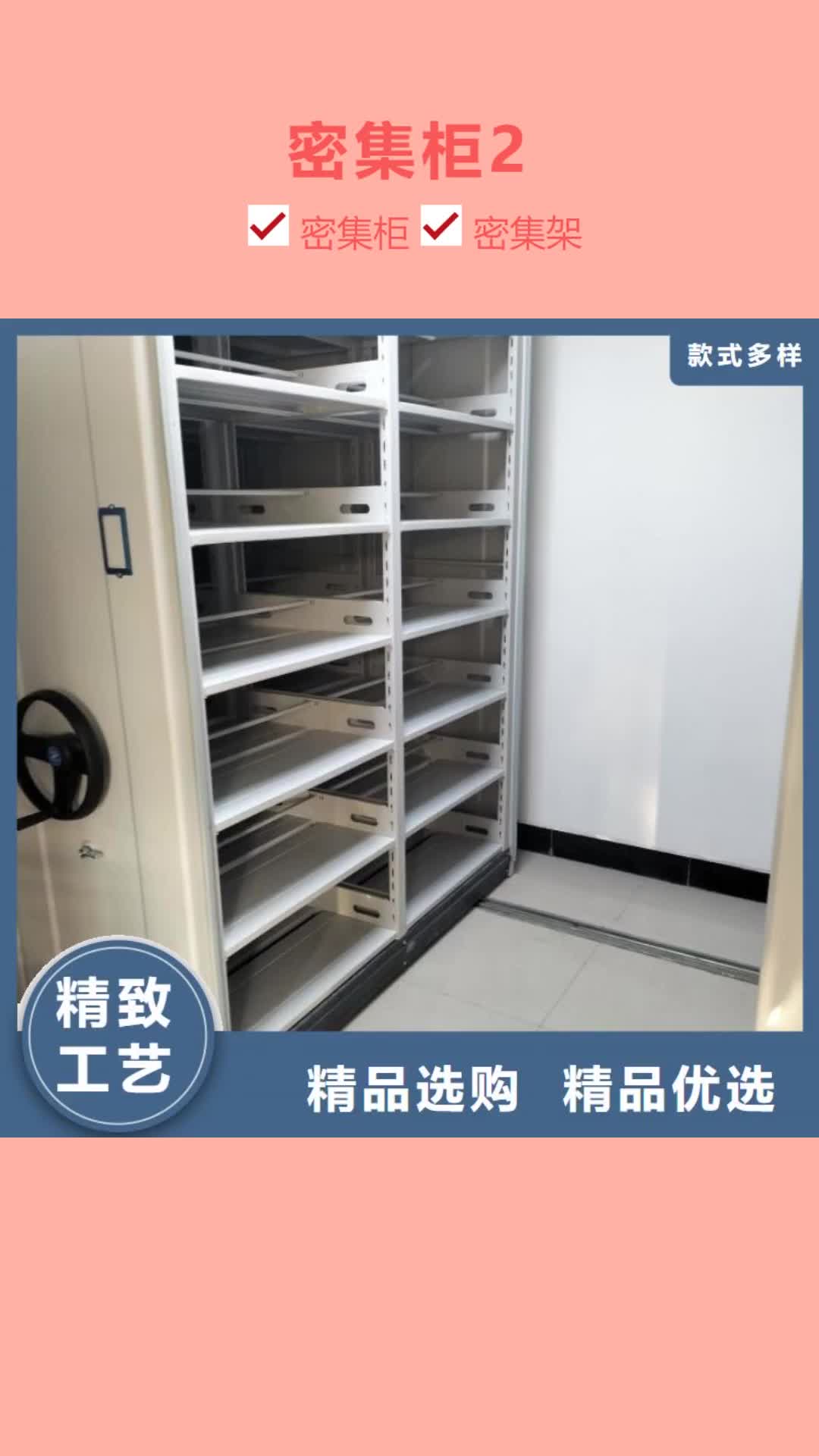 梅州 密集柜2 【档案密集柜】懂您所需