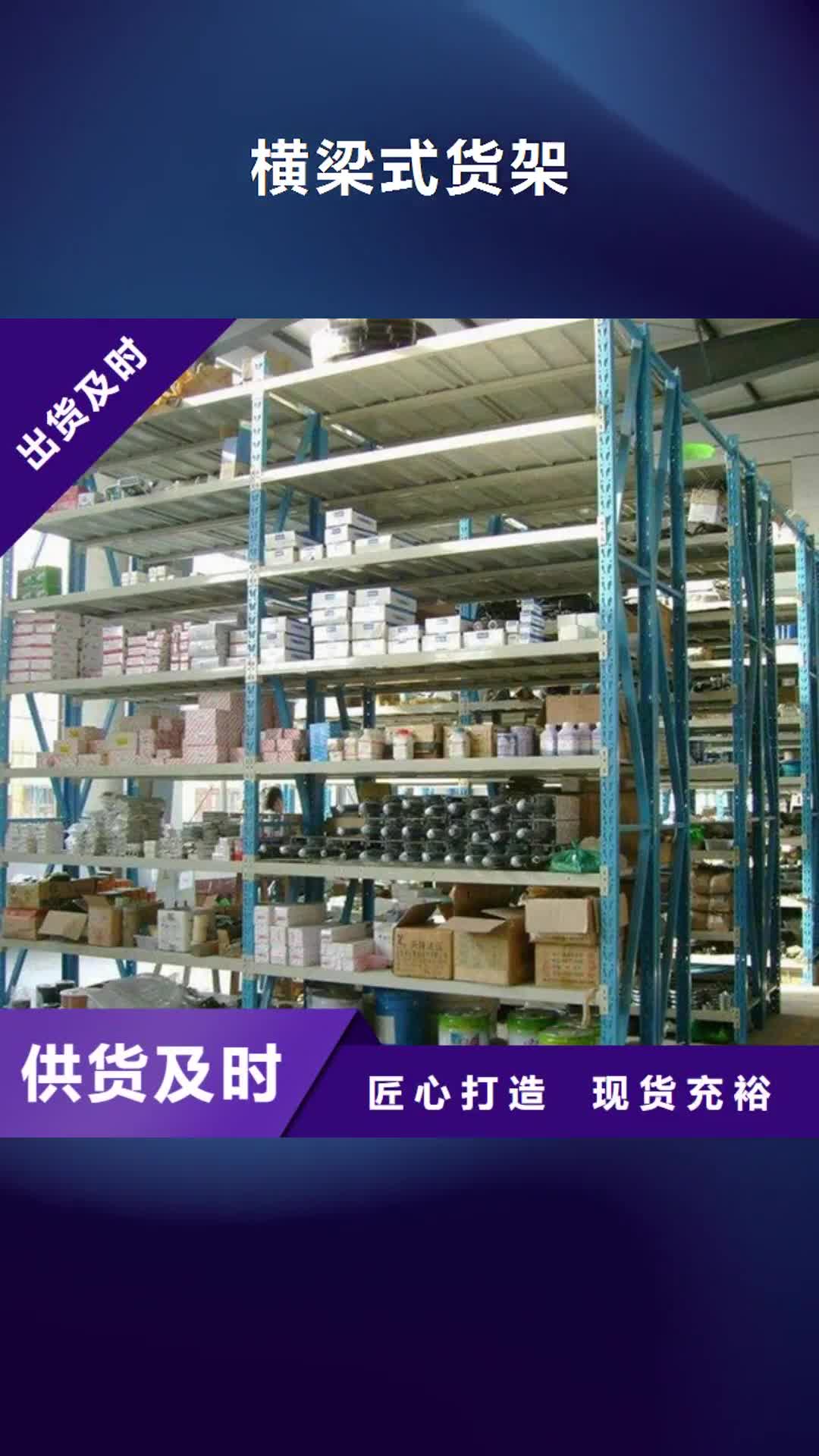 邯郸【横梁式货架】钢制书架交货准时