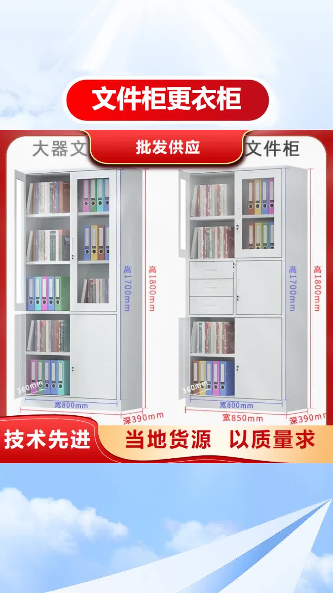 台湾 文件柜更衣柜,【留样柜】现货