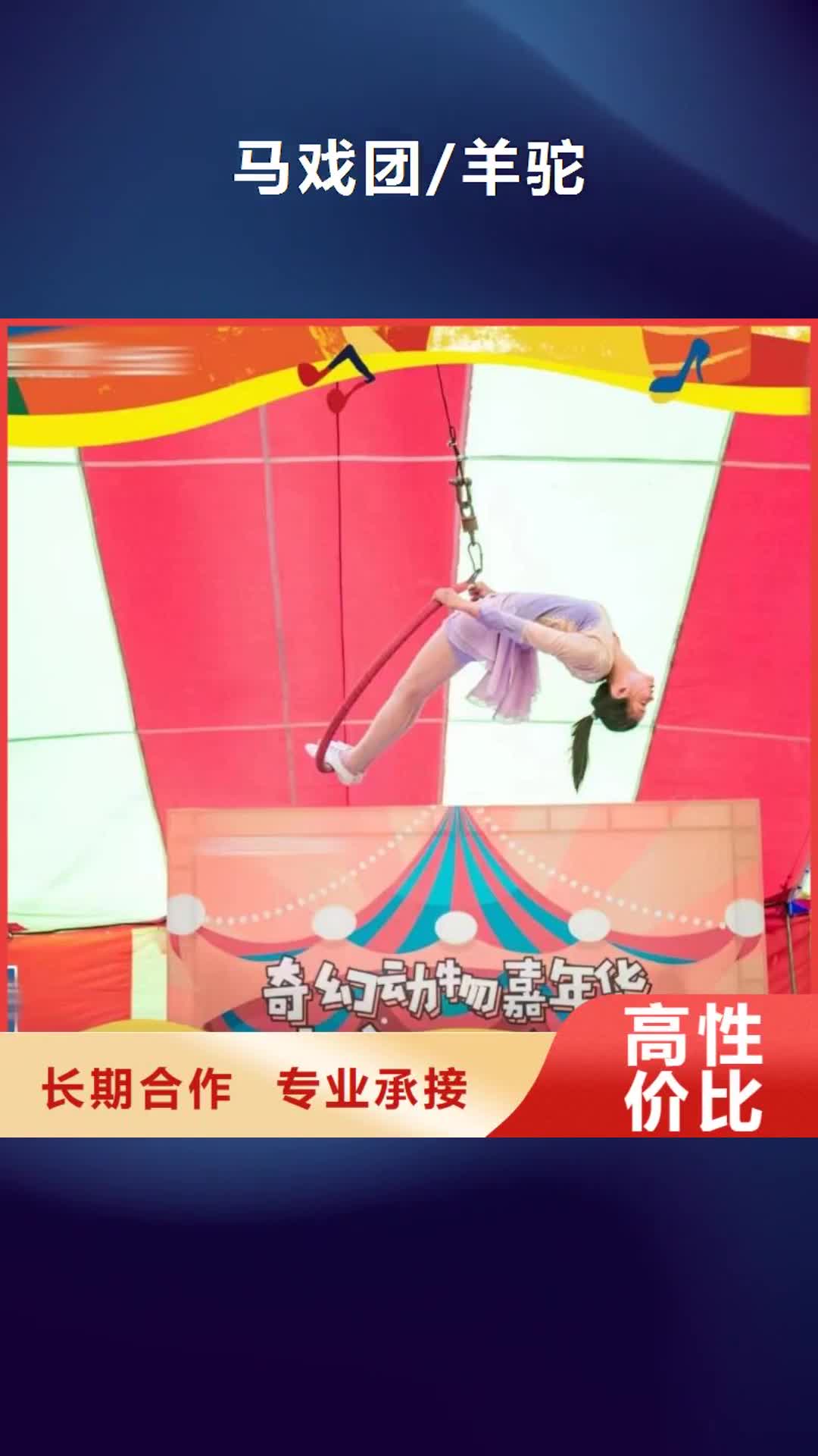 曲靖【马戏团/羊驼】,美人鱼表演拒绝虚高价