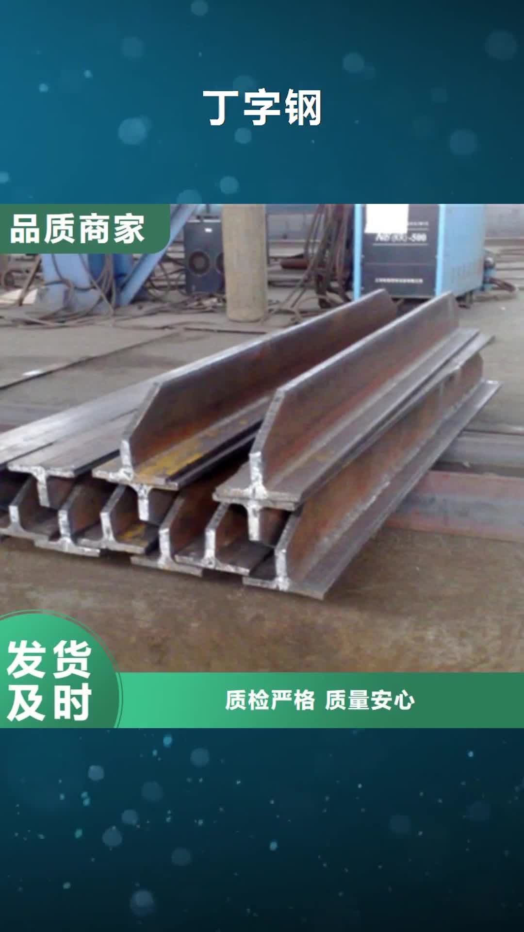 保定 丁字钢_【热轧方钢】讲信誉保质量