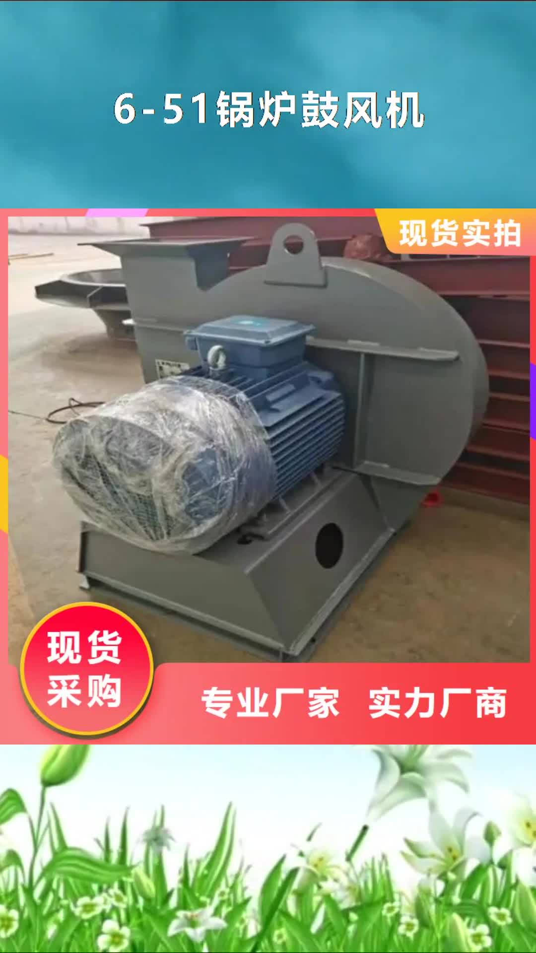 【大同6-51锅炉鼓风机 罗茨鼓风机快速生产】