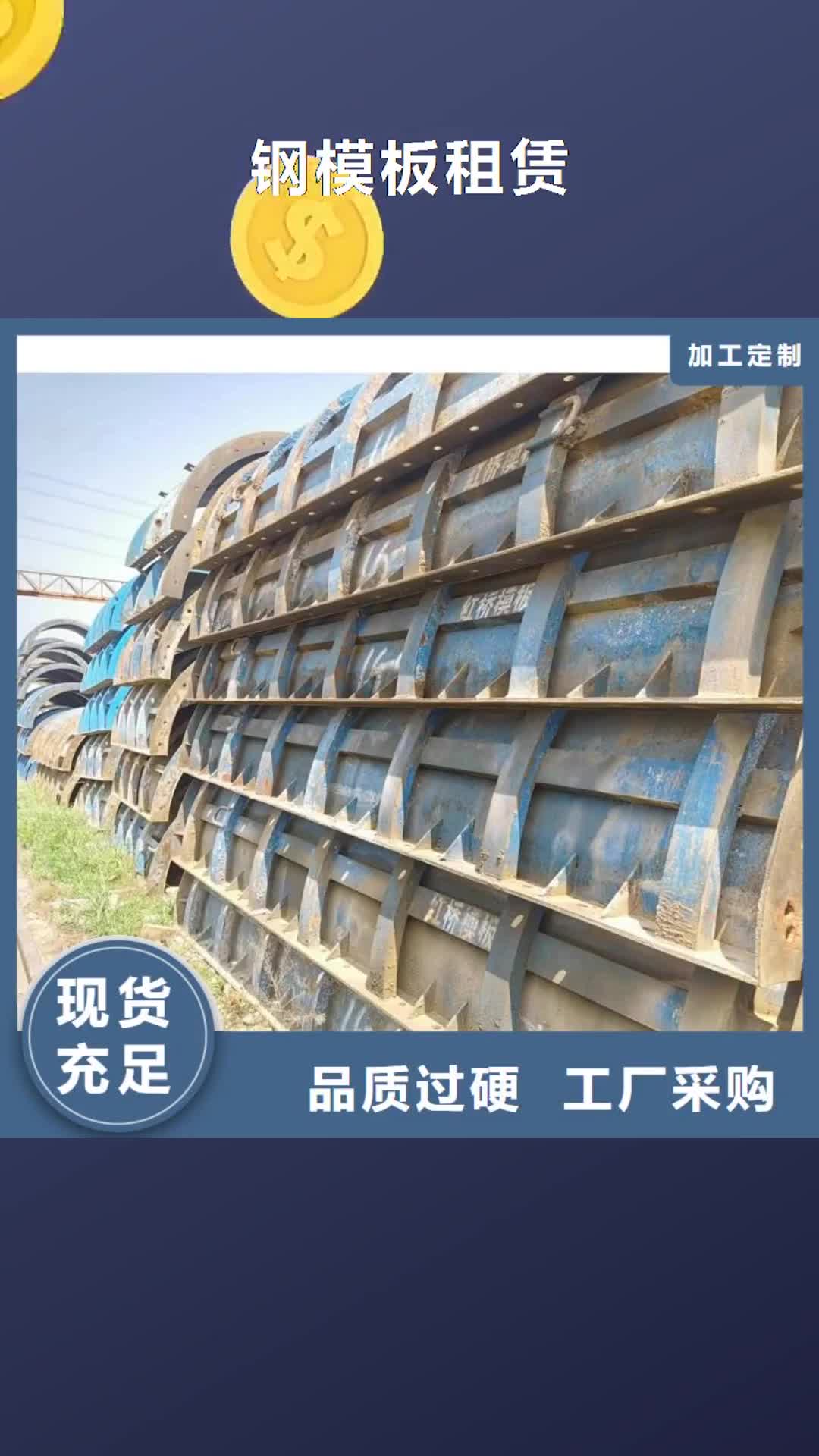 【资阳钢模板租赁 钢模板出租可定制】