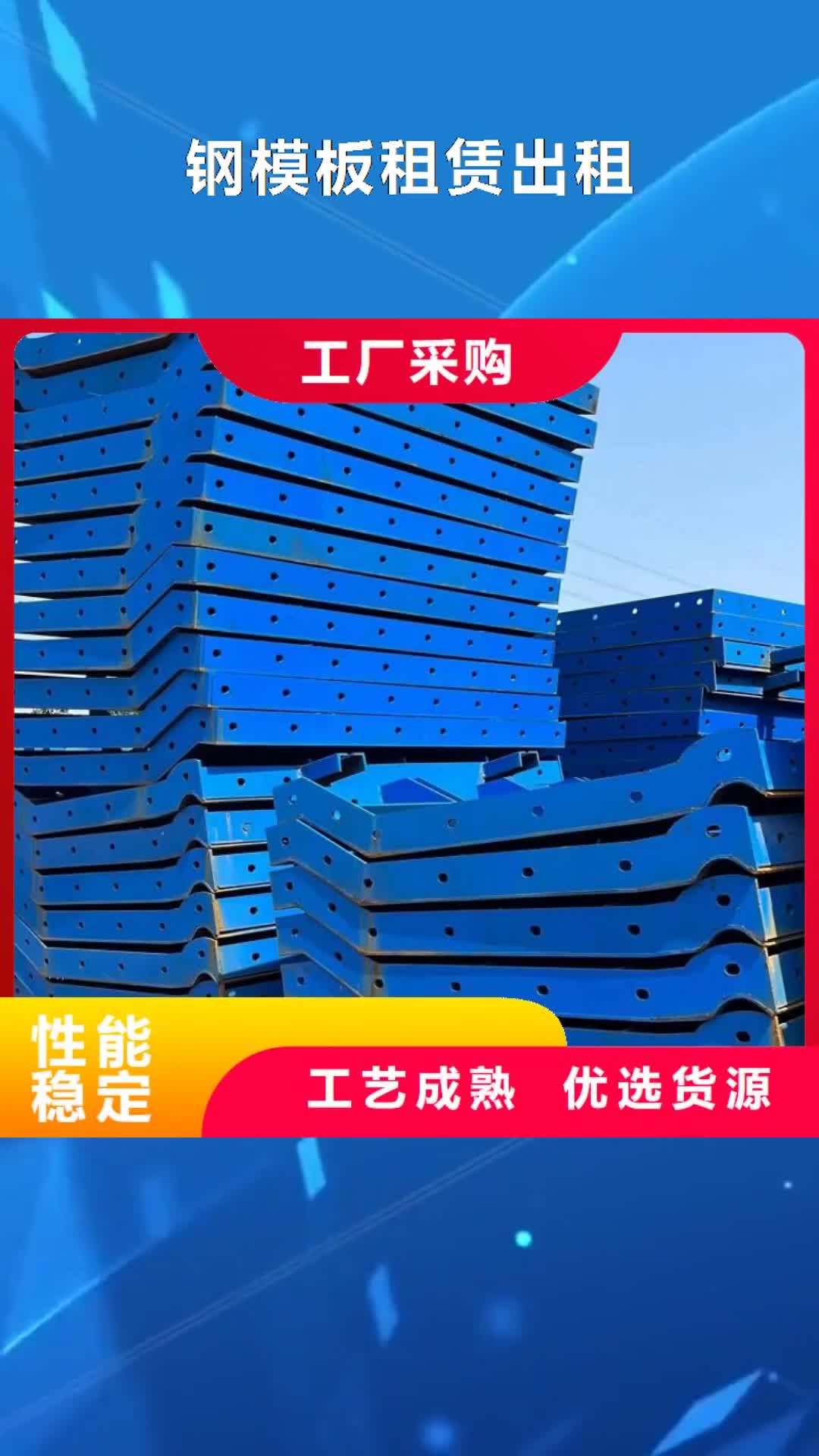 【洛阳钢模板租赁出租护栏模板出租工艺精细质保长久】