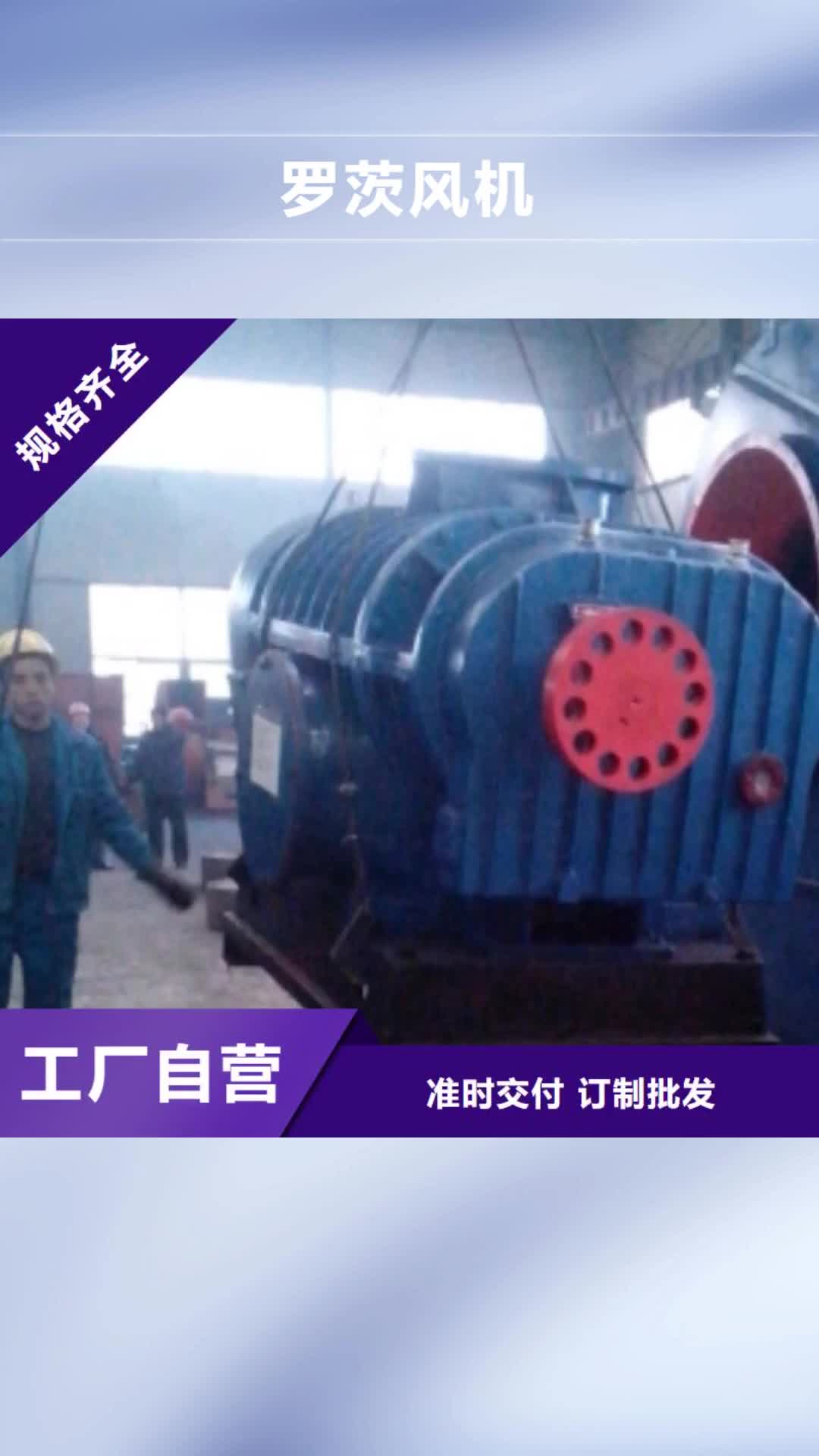 伊犁罗茨风机-【高温风机厂家】源头直供