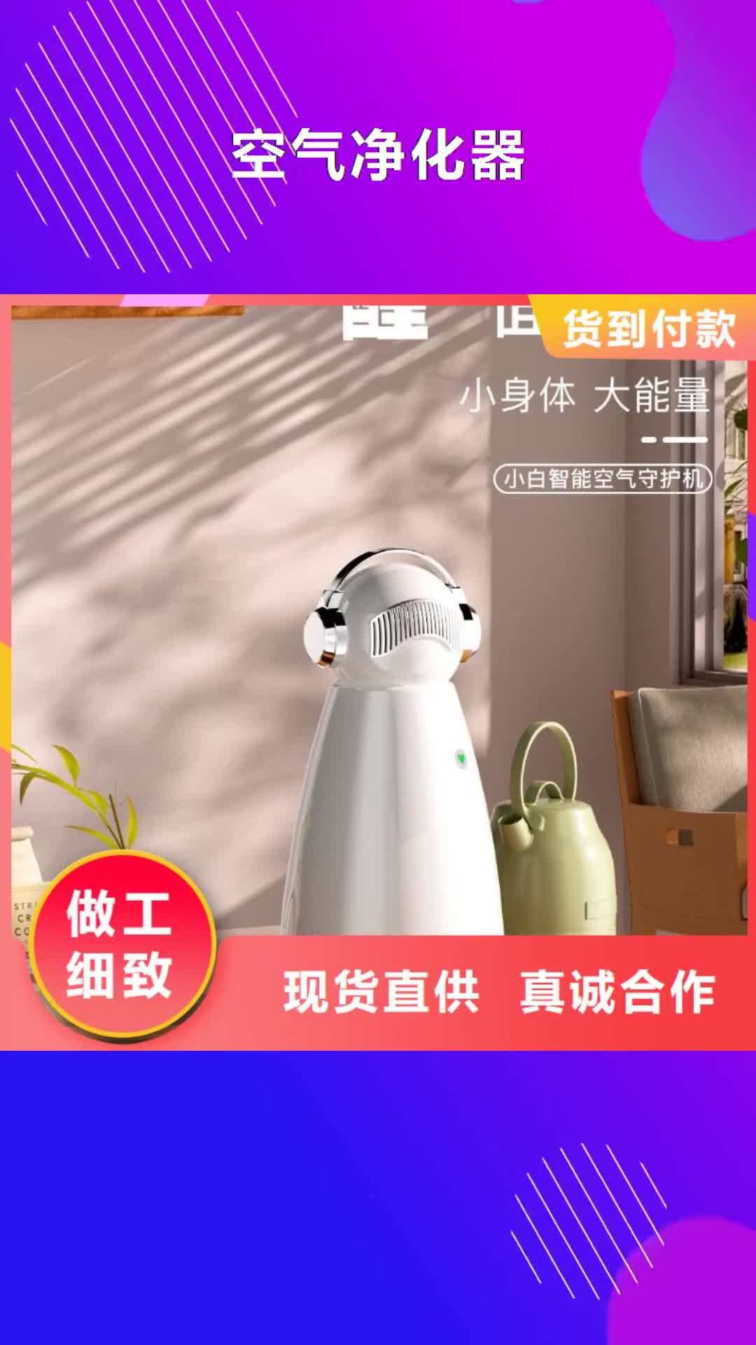 【佛山 空气净化器 空气守护专业按需定制】