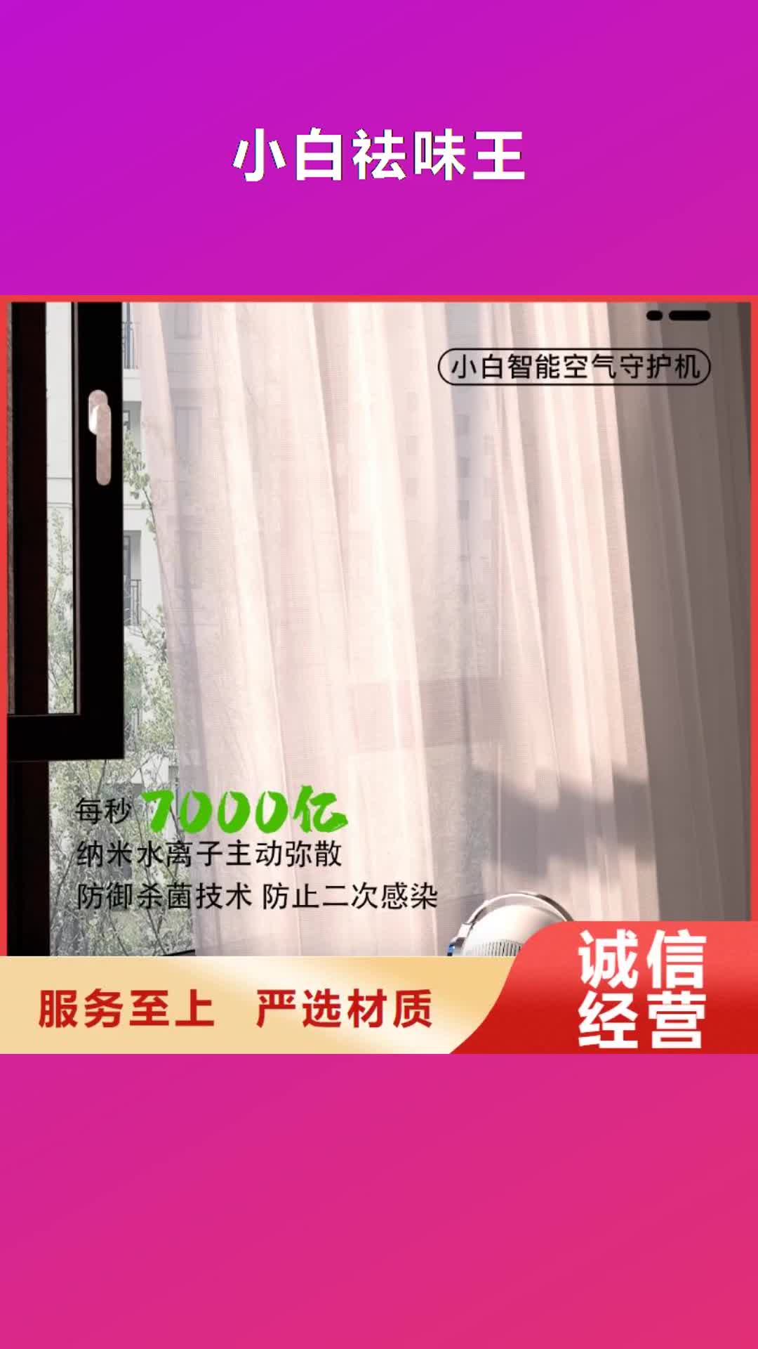 【吉林 小白祛味王实体厂家】