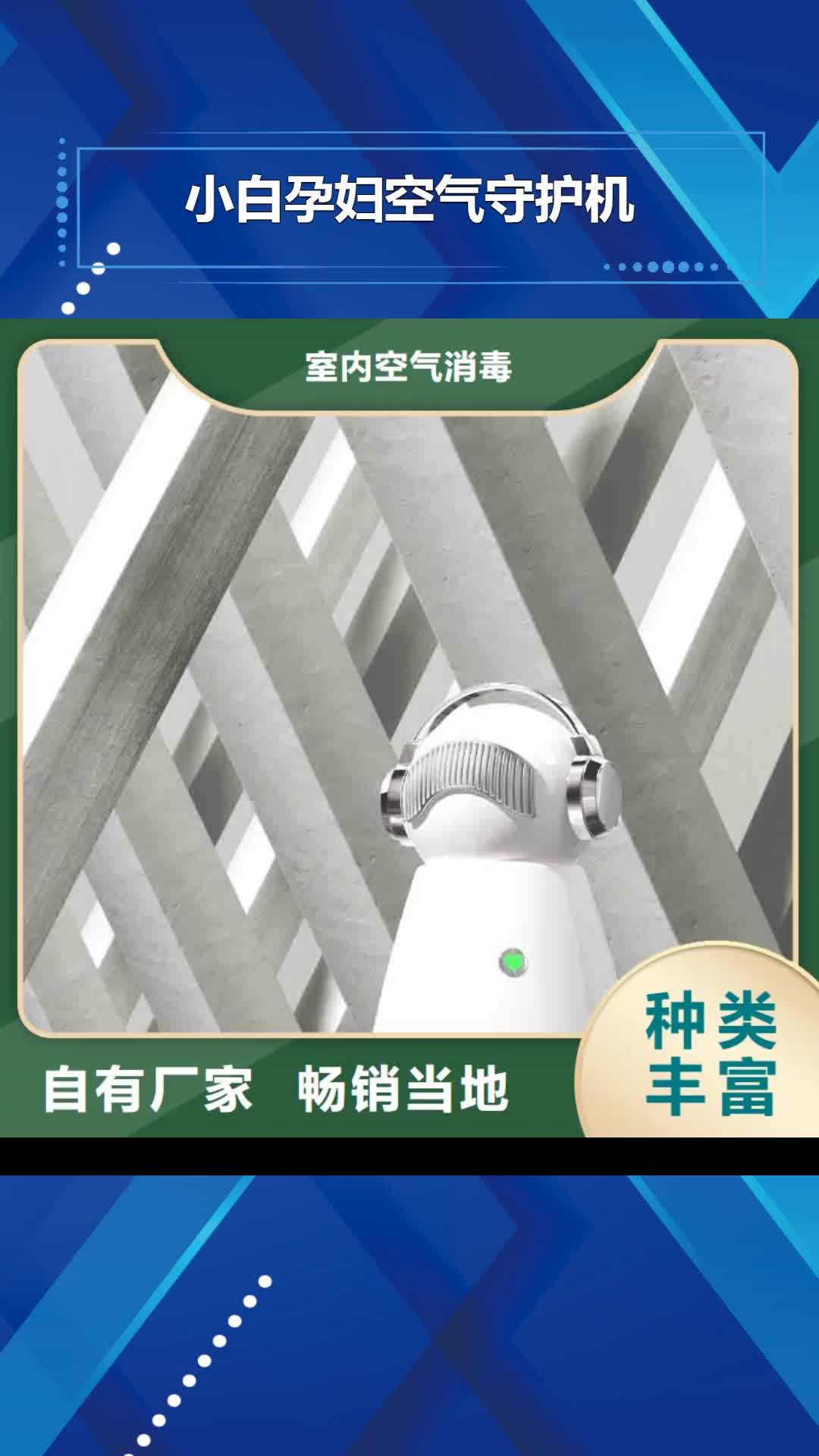 韶关【小白孕妇空气守护机】,小白祛味王优良材质