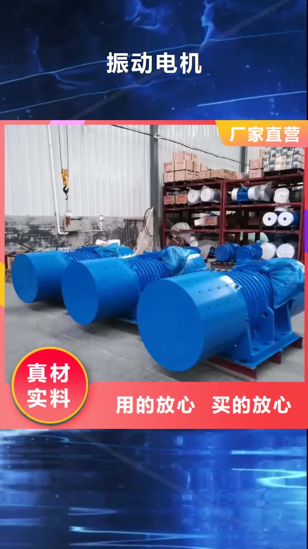 海南 振动电机 【振动筛】敢与同行比价格