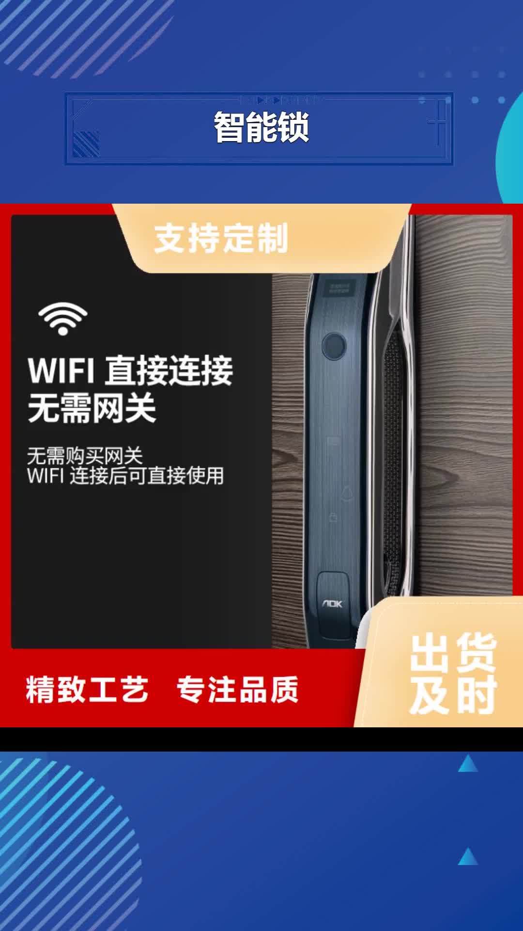 锡林郭勒 智能锁甄选好物