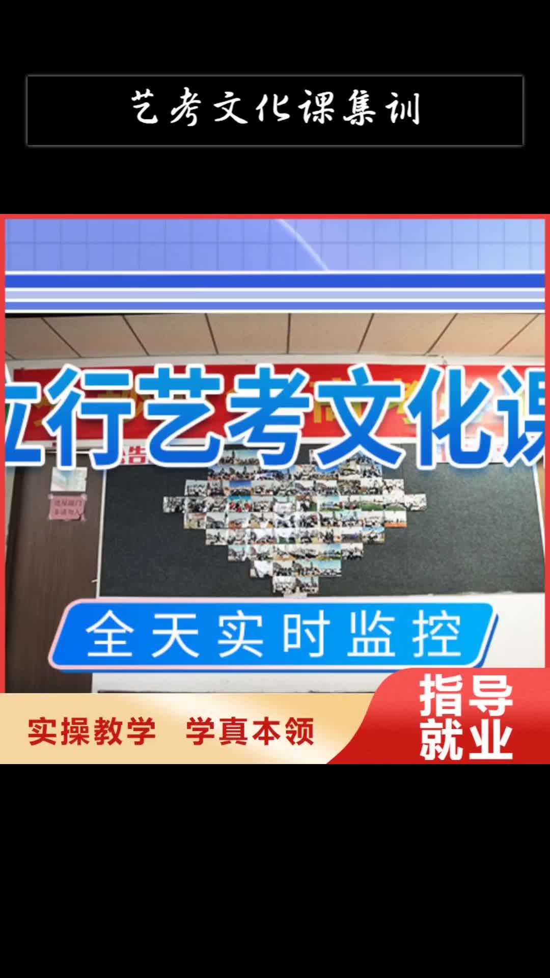 浙江 艺考文化课集训老师专业