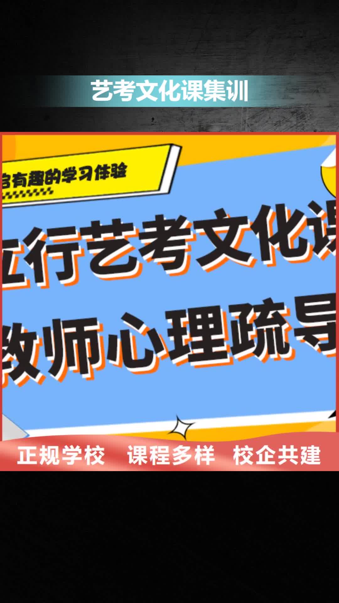 东莞【艺考文化课集训】,艺考一对一教学实操培训
