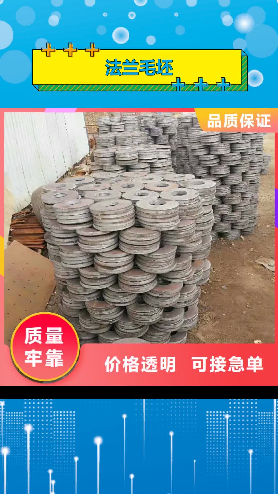 【青岛 法兰毛坯 大口径法兰毛坯现货供应】
