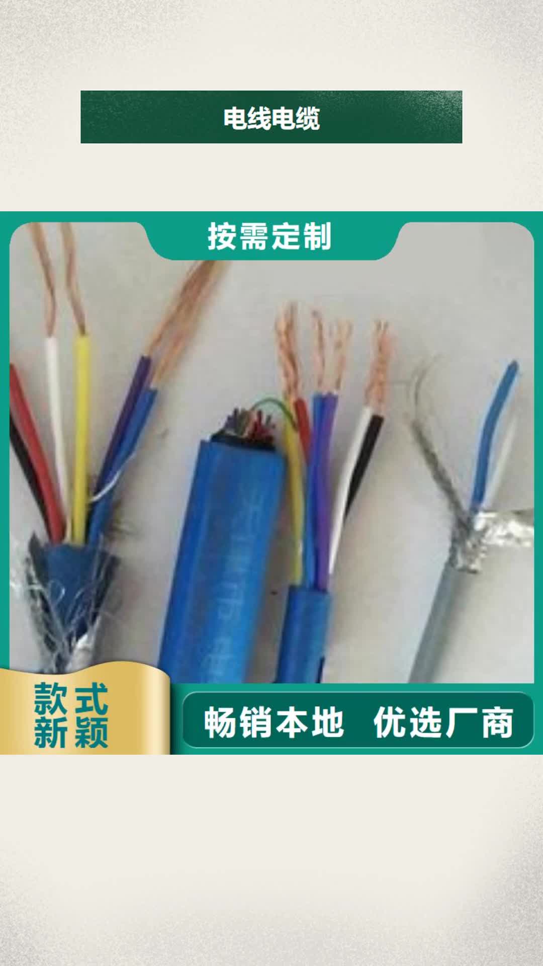 【宁夏 电线电缆 PTYA23电缆本地厂家值得信赖】