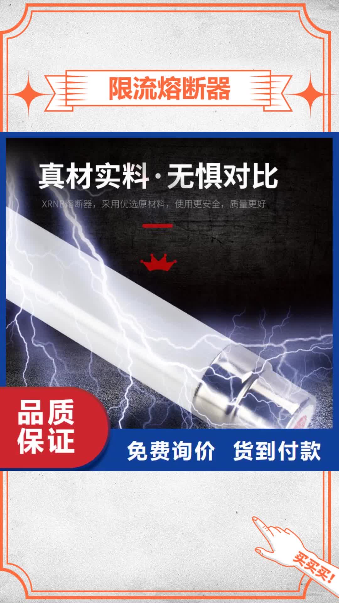 伊犁【限流熔断器】-固定金具现货充足量大优惠