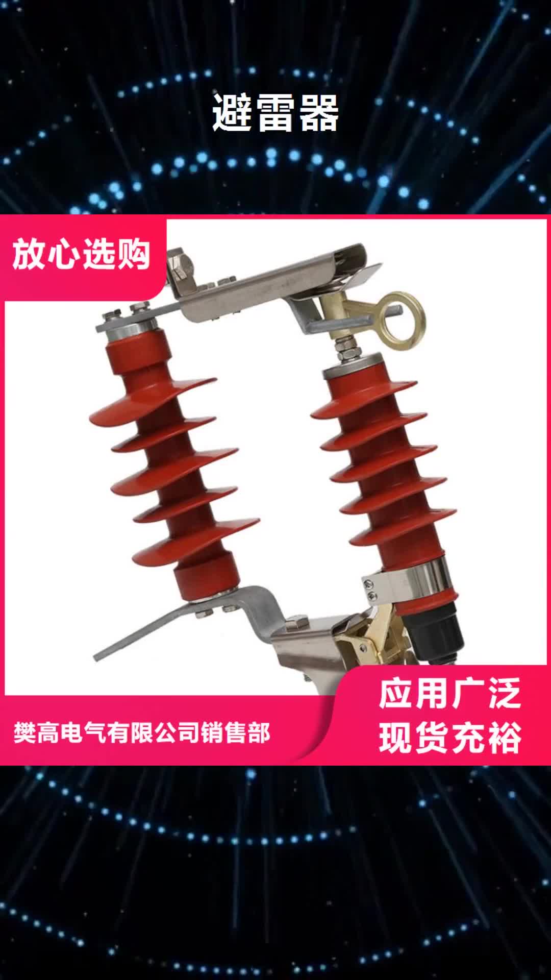 东莞避雷器绝缘子信誉至上