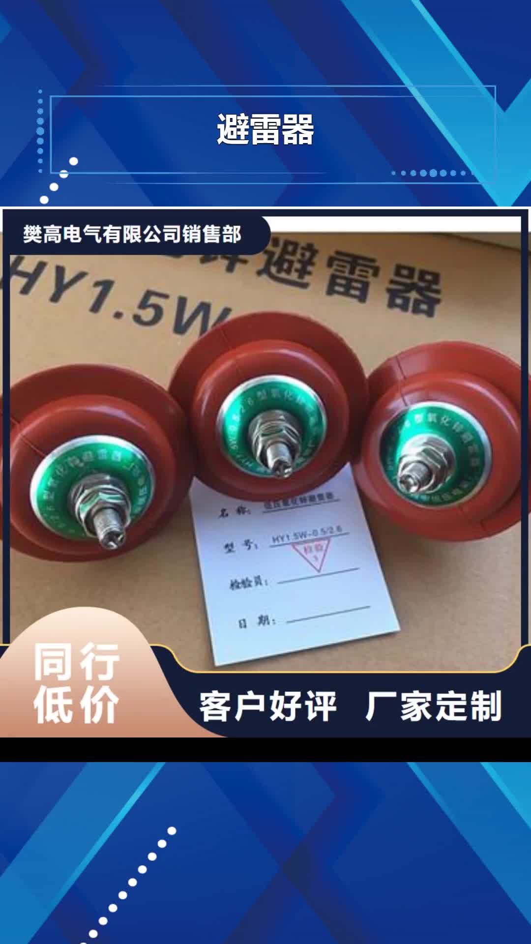 莱芜避雷器绝缘子长期供应