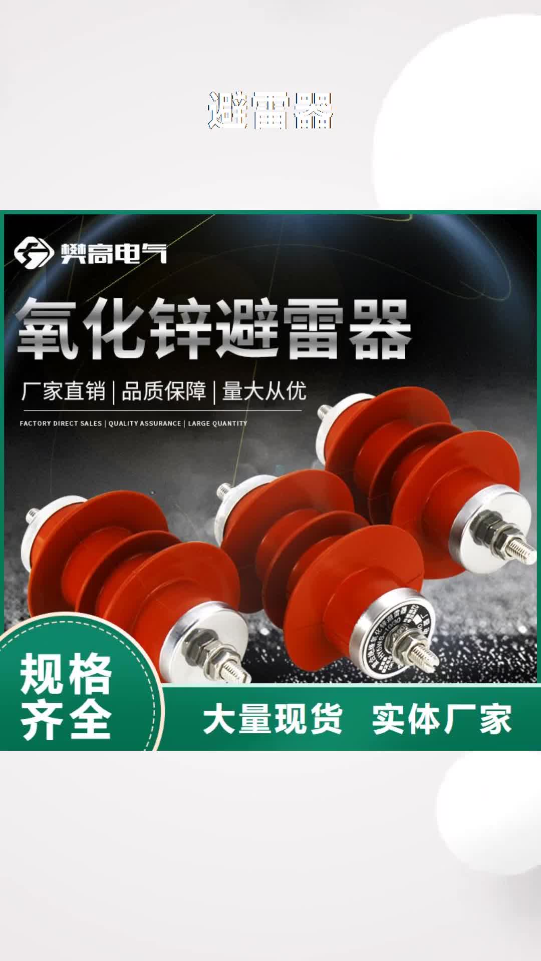 徐州避雷器氧化锌避雷器实体诚信厂家