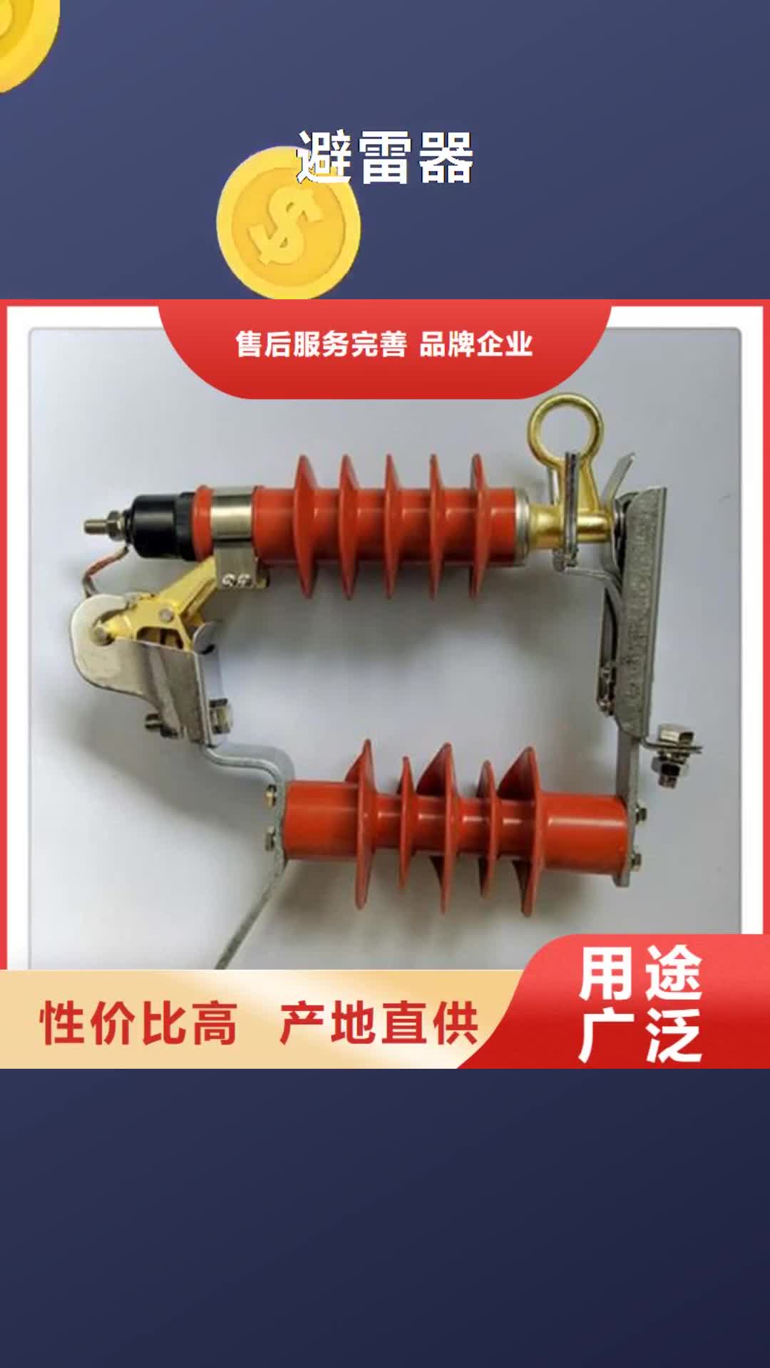 吕梁 避雷器,【绝缘子】规格齐全