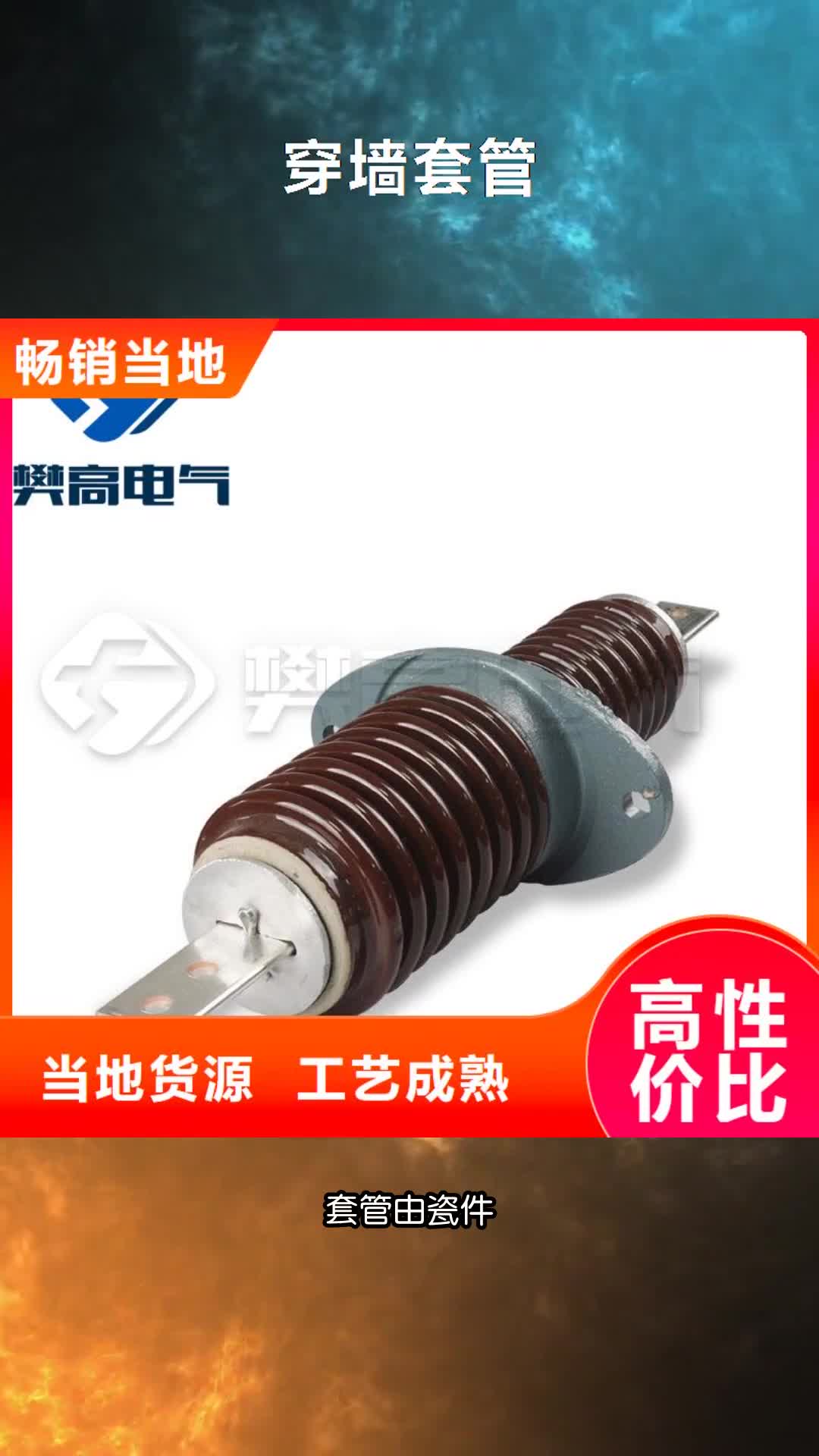南充穿墙套管真空断路器实力派厂家