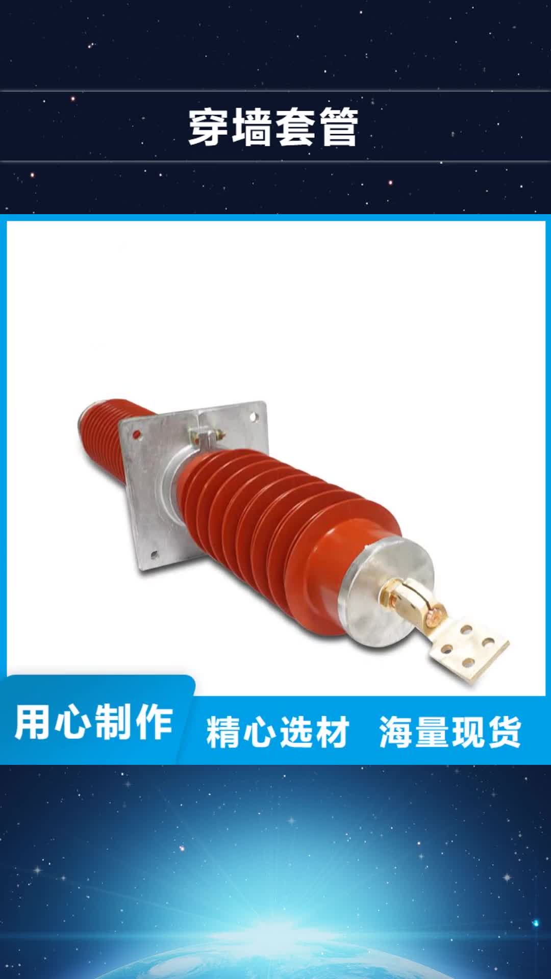 浙江穿墙套管真空断路器质检合格发货
