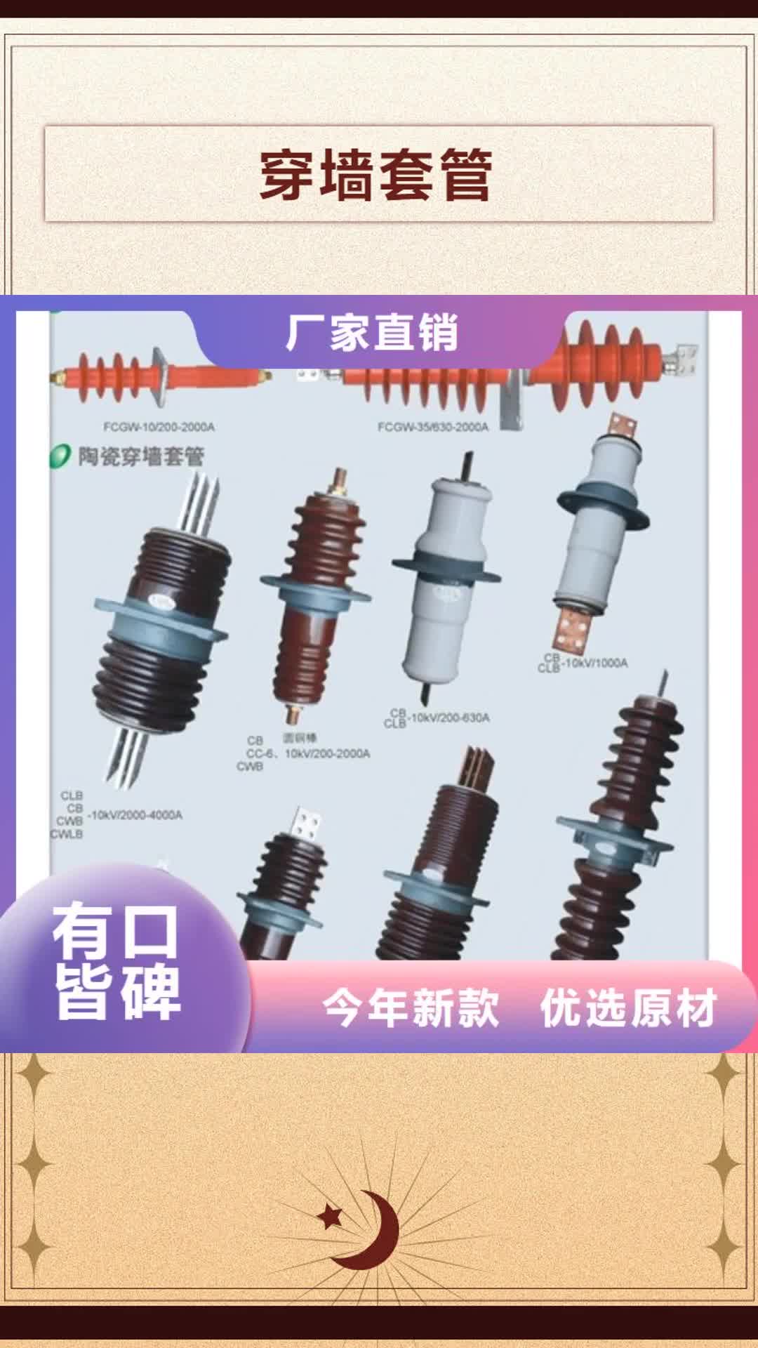 龙岩【穿墙套管】-真空断路器专注生产N年