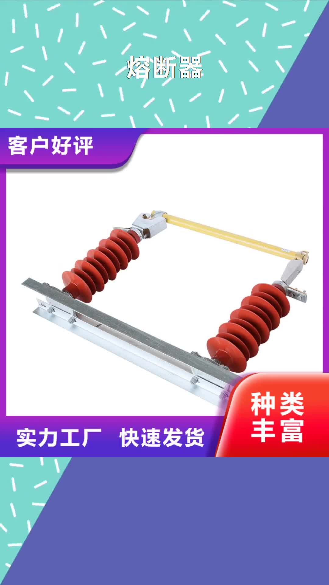 【云南 熔断器_高压开关柜贴心服务】